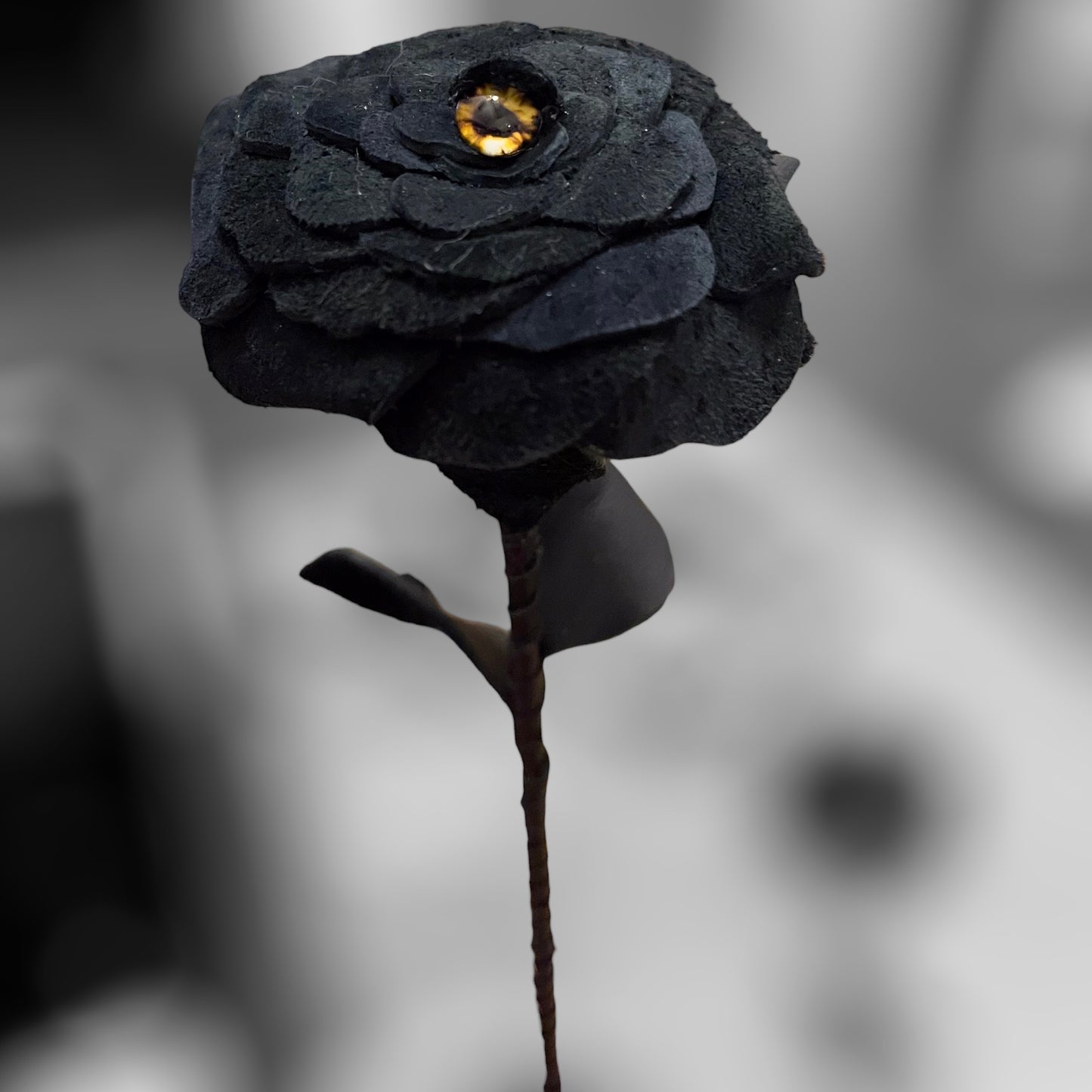 Cyclops Rose