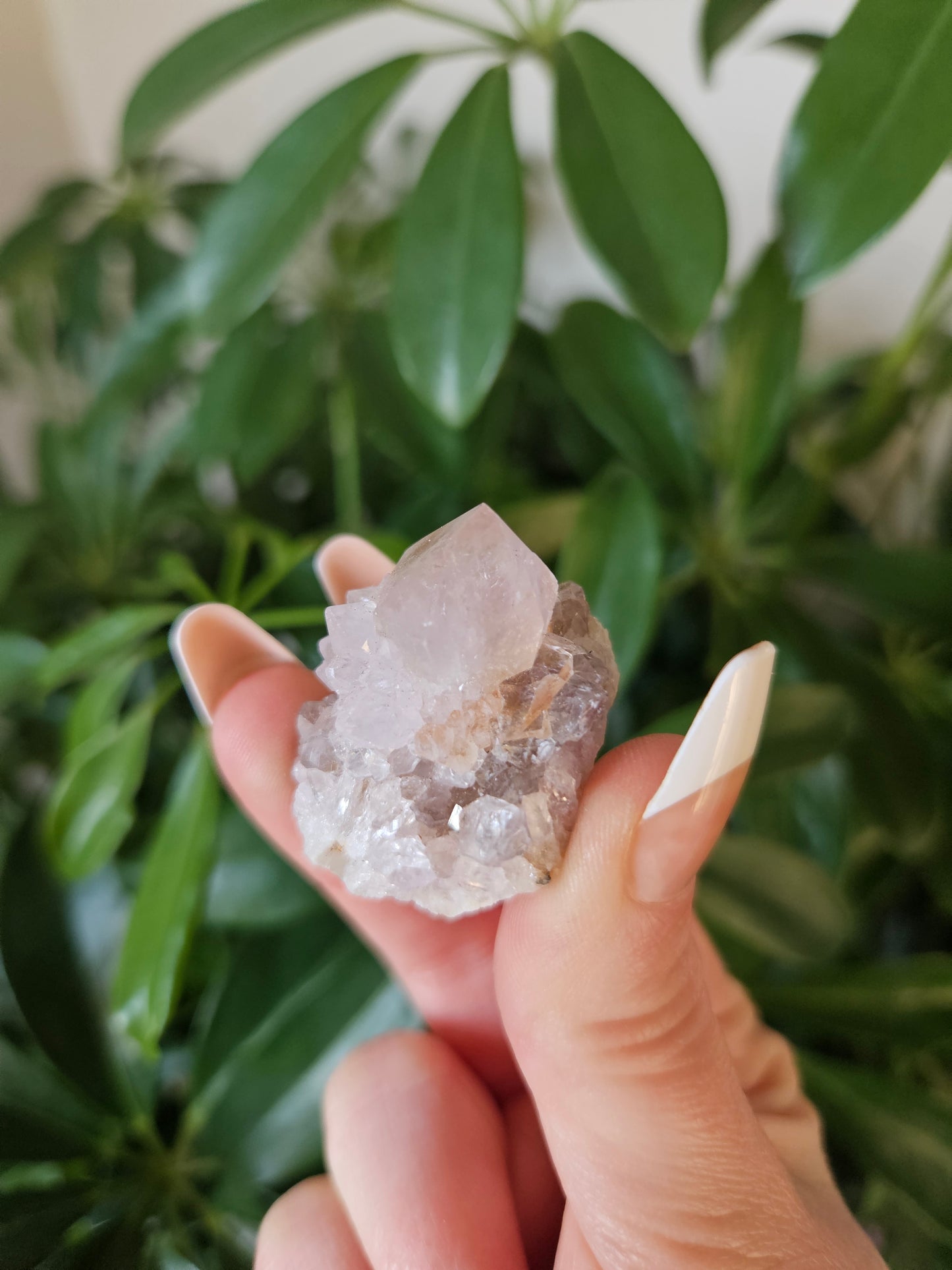 Fairy Quartz