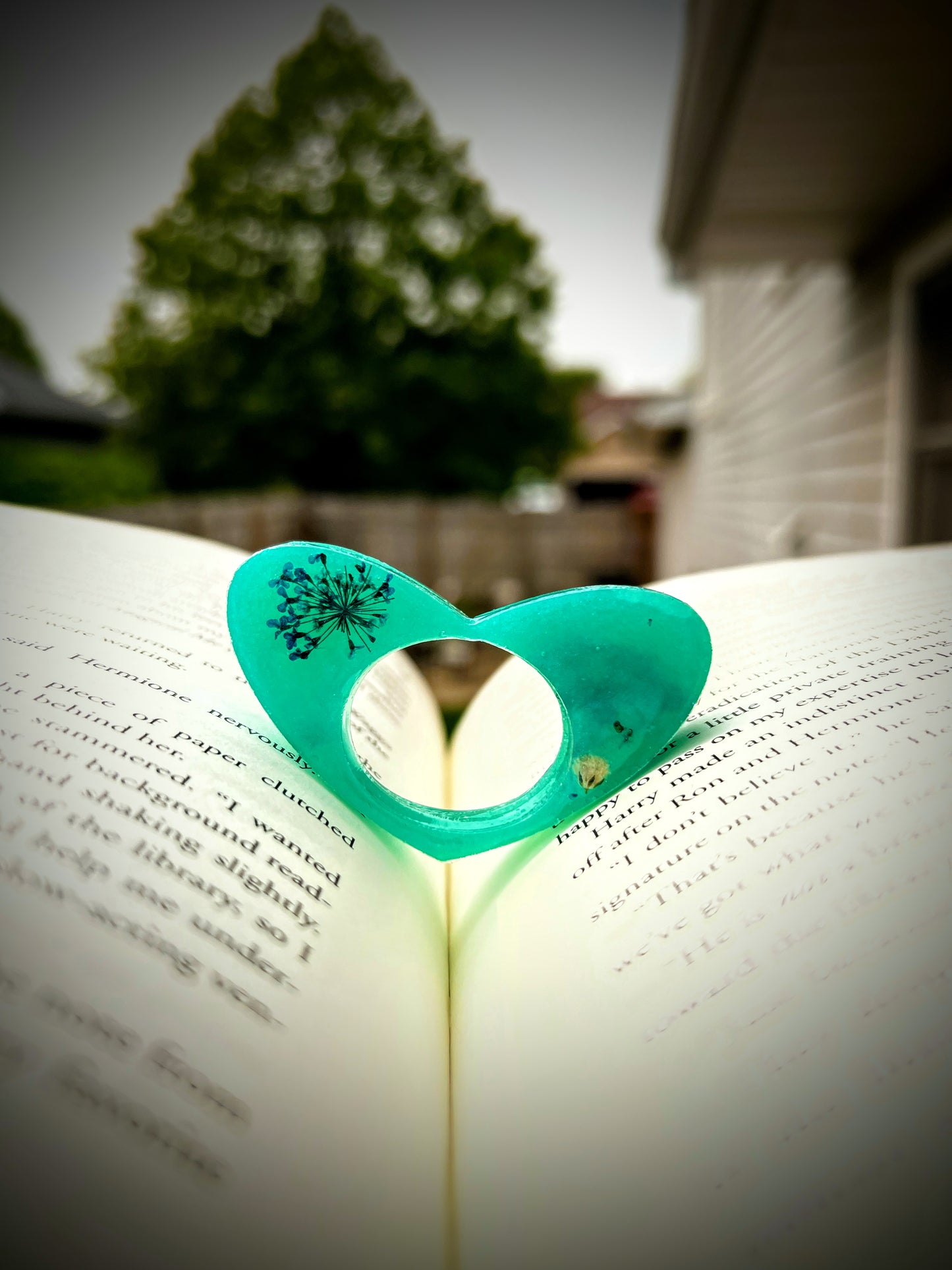 Book Buddies