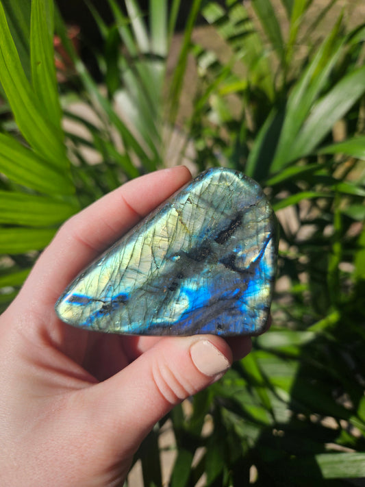 Labradorite || Freeform