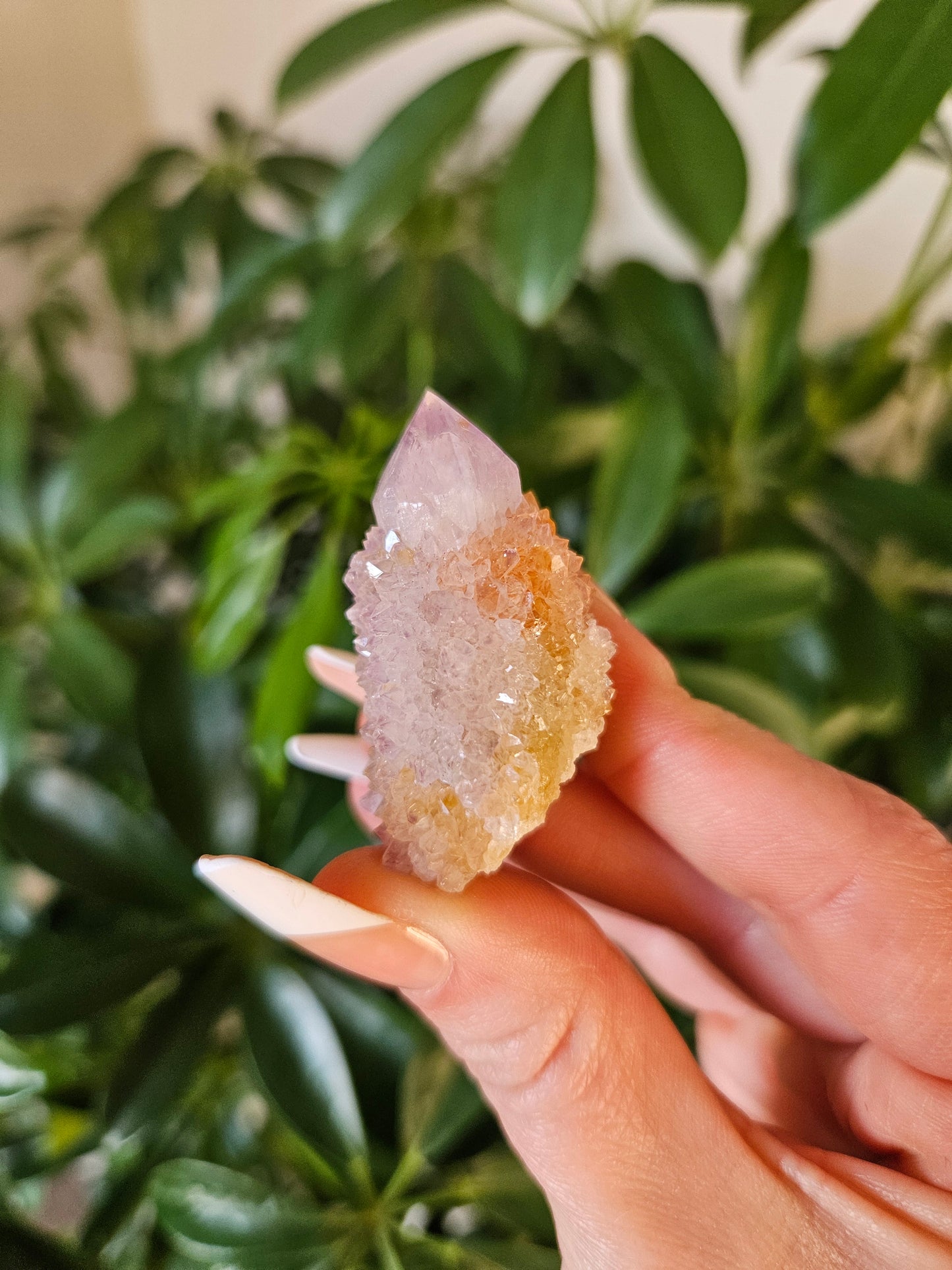Fairy Quartz