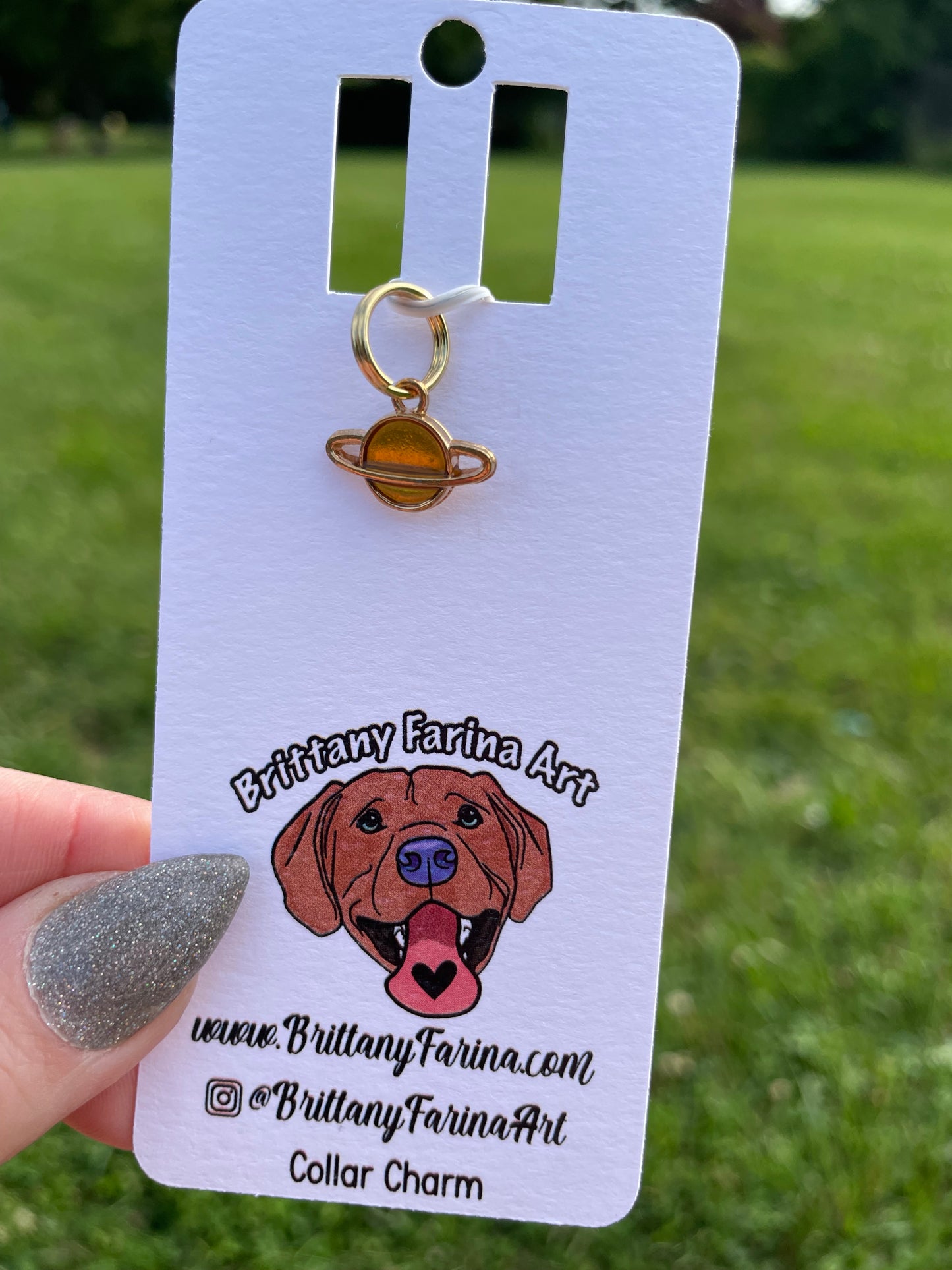 Collar Charms || Doggy Bling || Bag Accessories