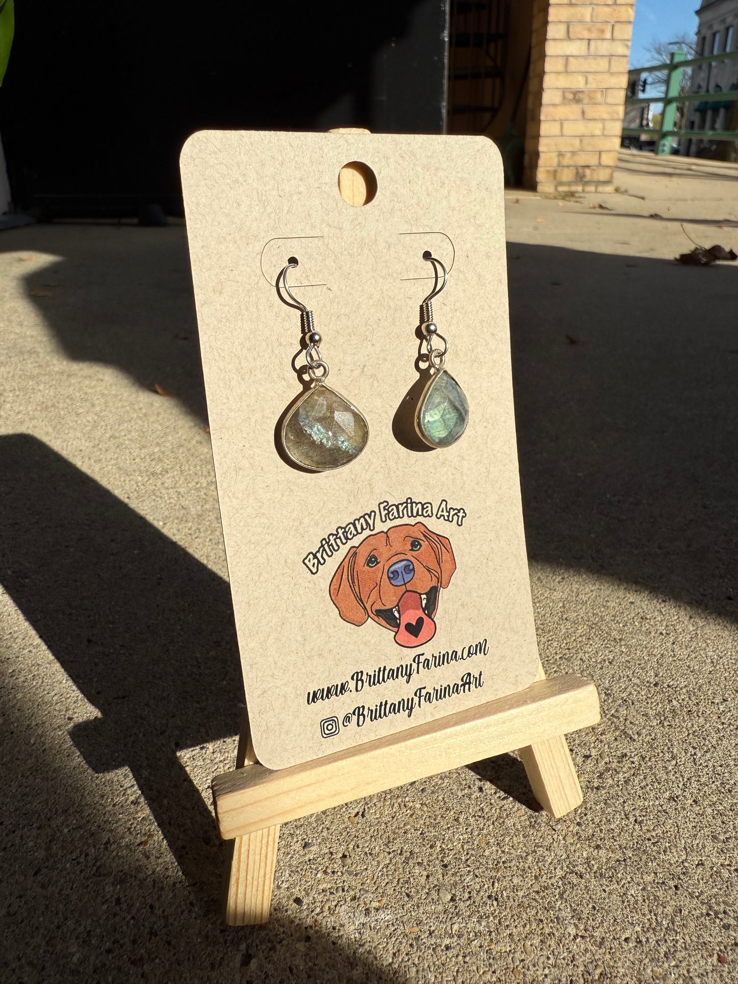 Labradorite Dangle Earrings