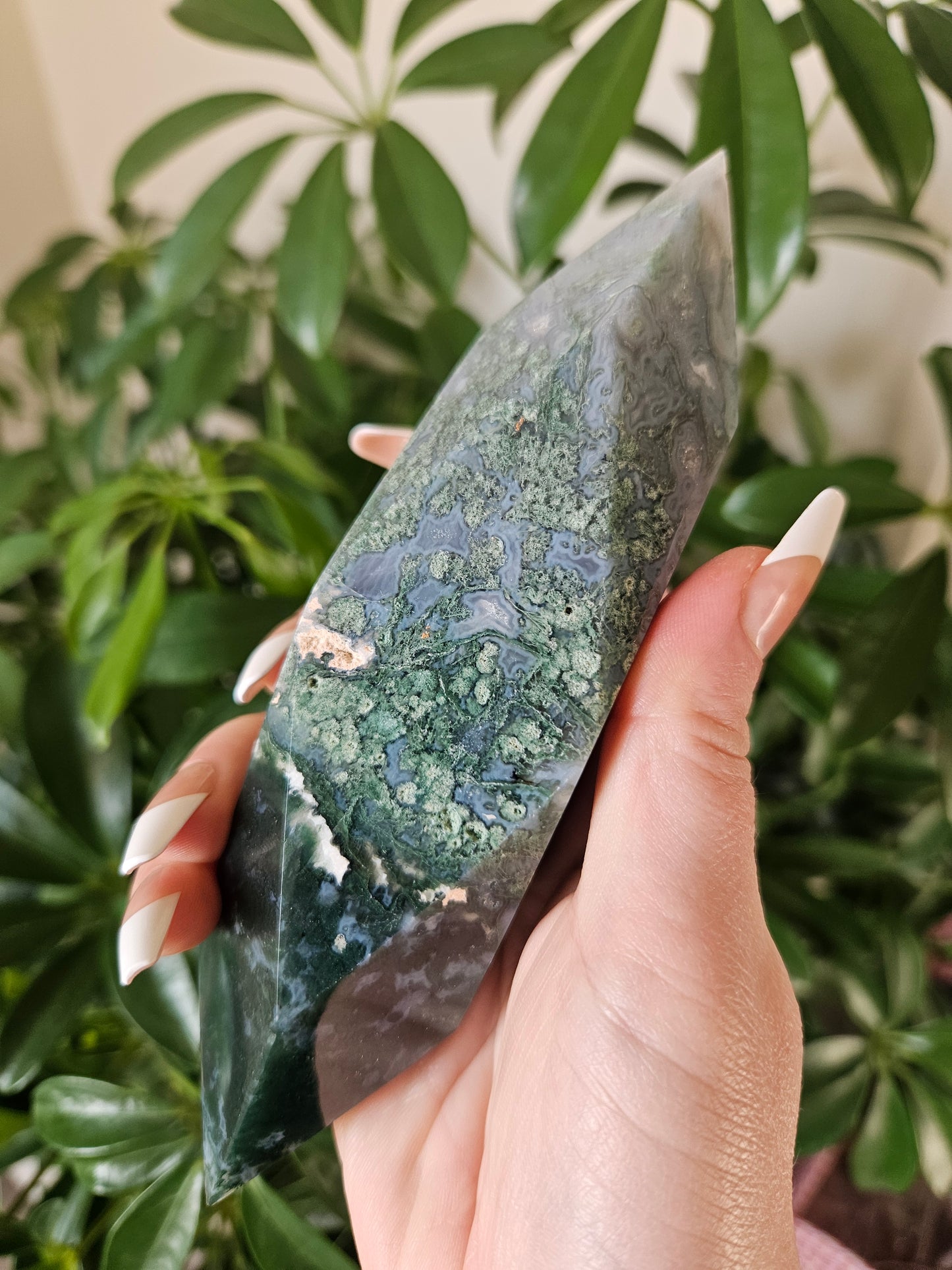 Moss Agate || Gem Cut