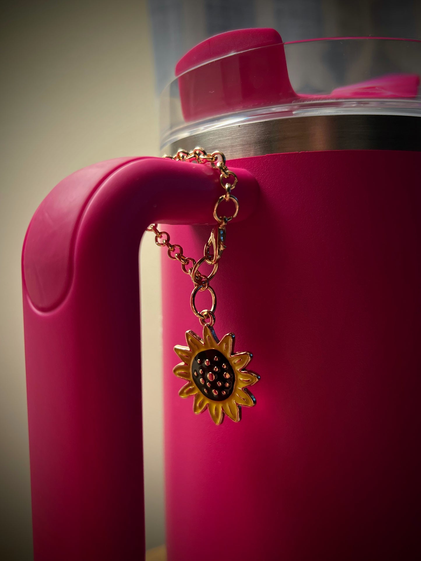 Tumbler Charms