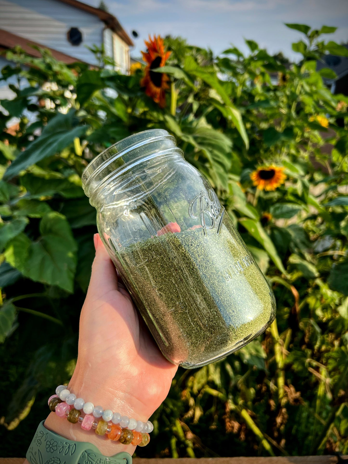 Locally Grown Catnip - 3oz