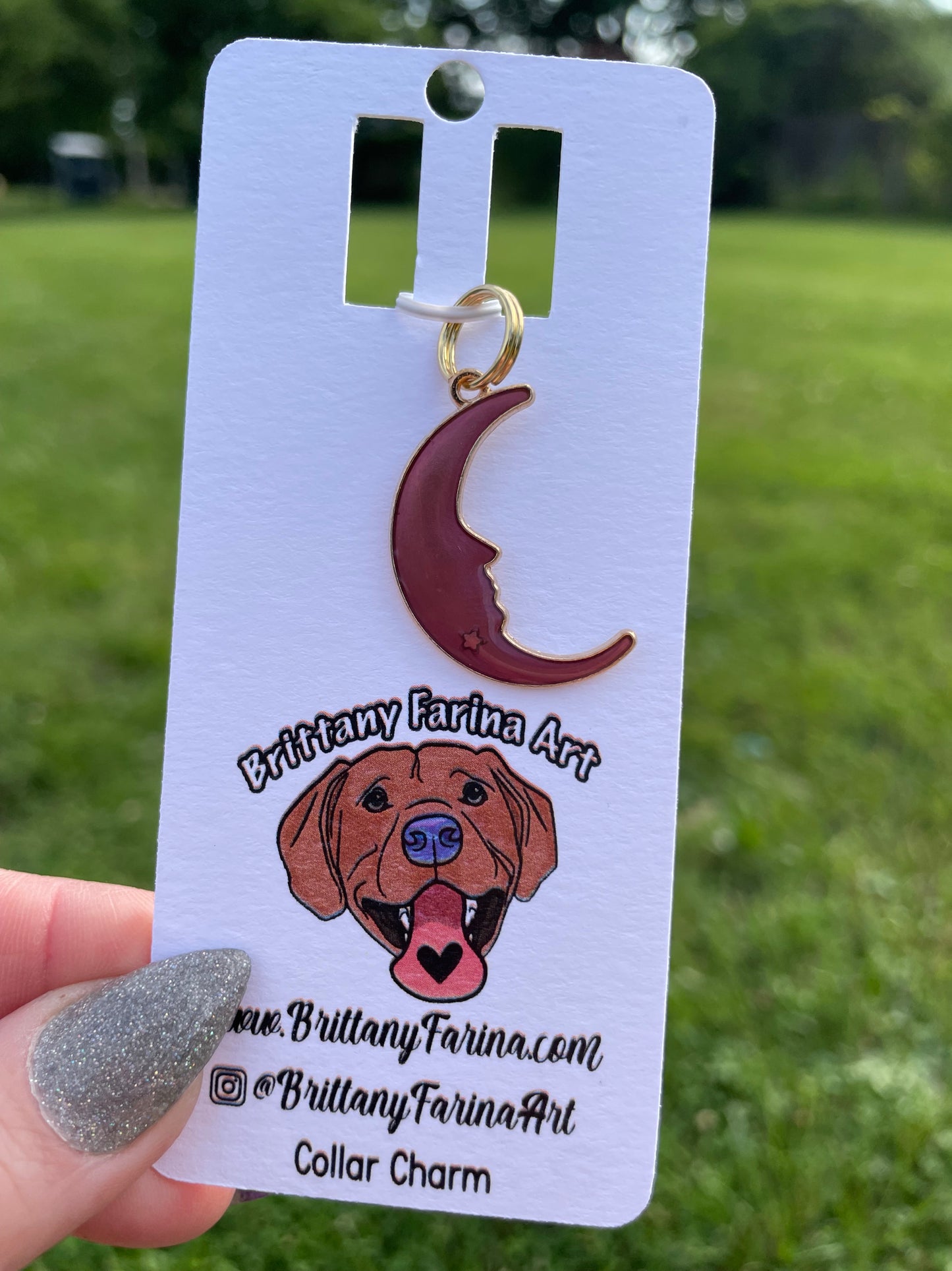 Collar Charms || Doggy Bling || Bag Accessories