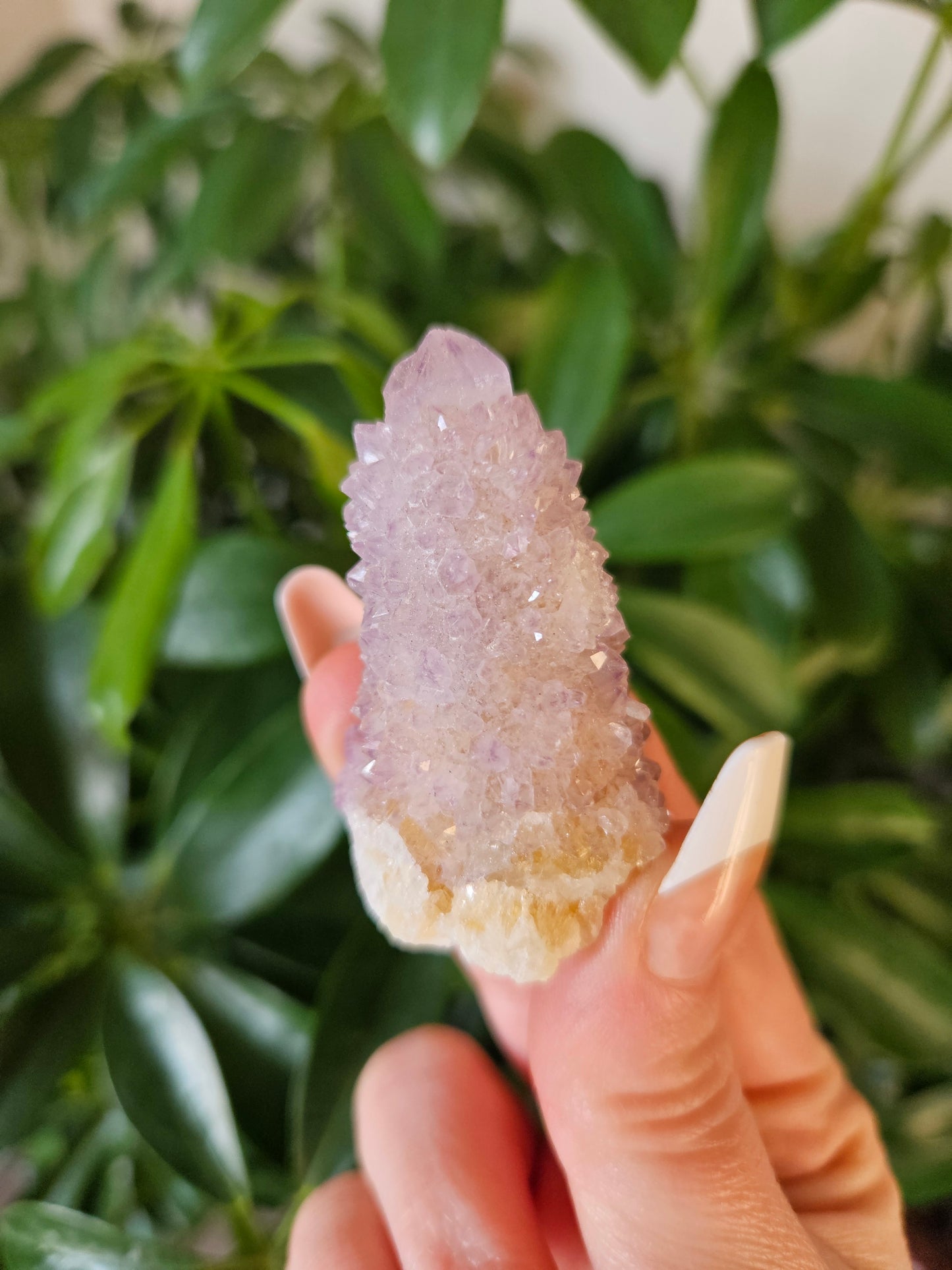 Fairy Quartz