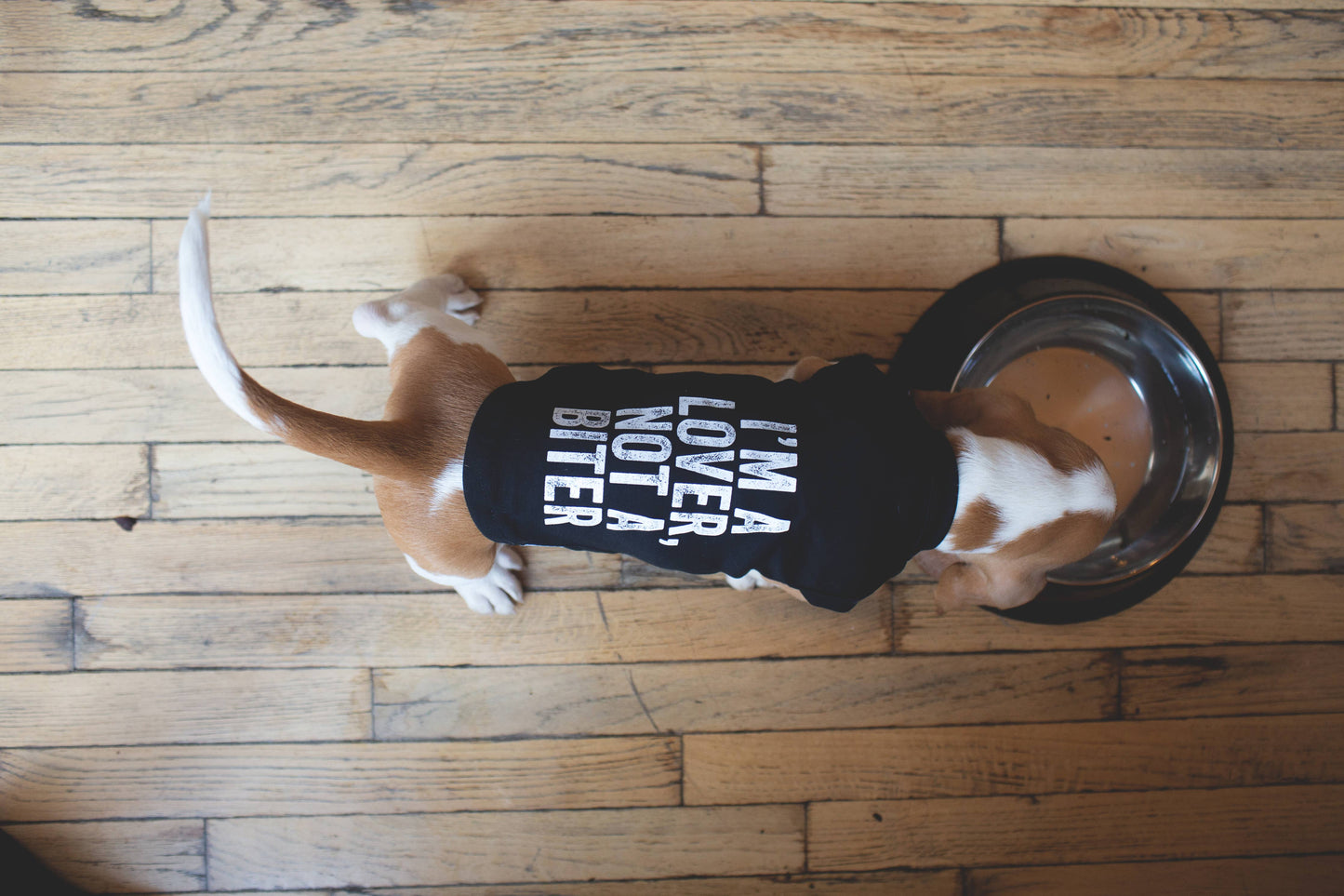 I'm A Lover Not A Biter Pet Tee | Medium