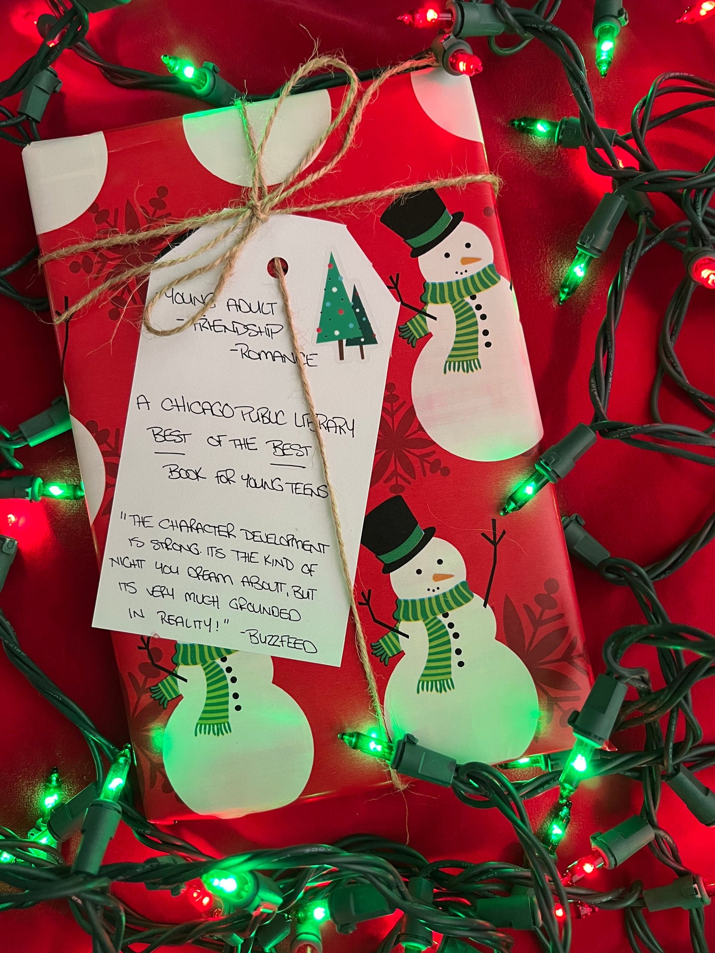 YA Blind Date with a Book | Holiday Wrapping