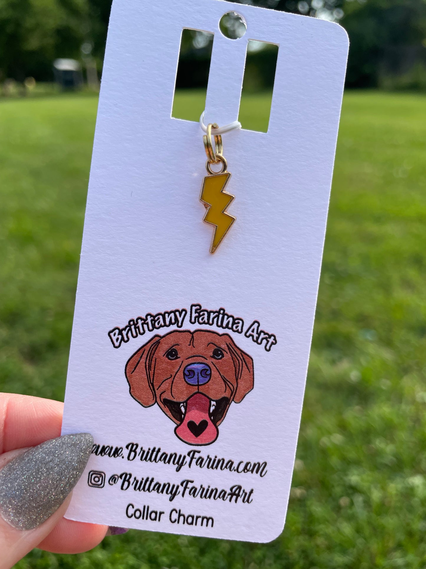 Collar Charms || Doggy Bling || Bag Accessories