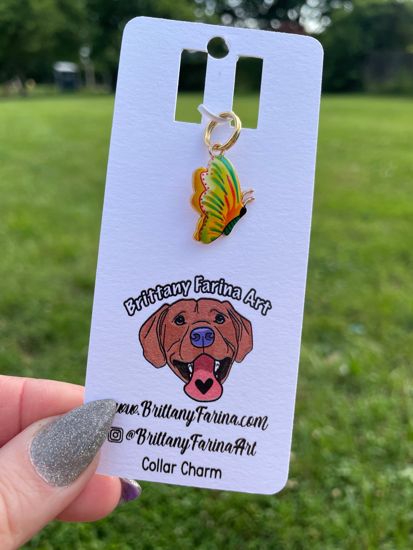 Butterfly Collar Charms || Doggy Bling || Bag Accessories