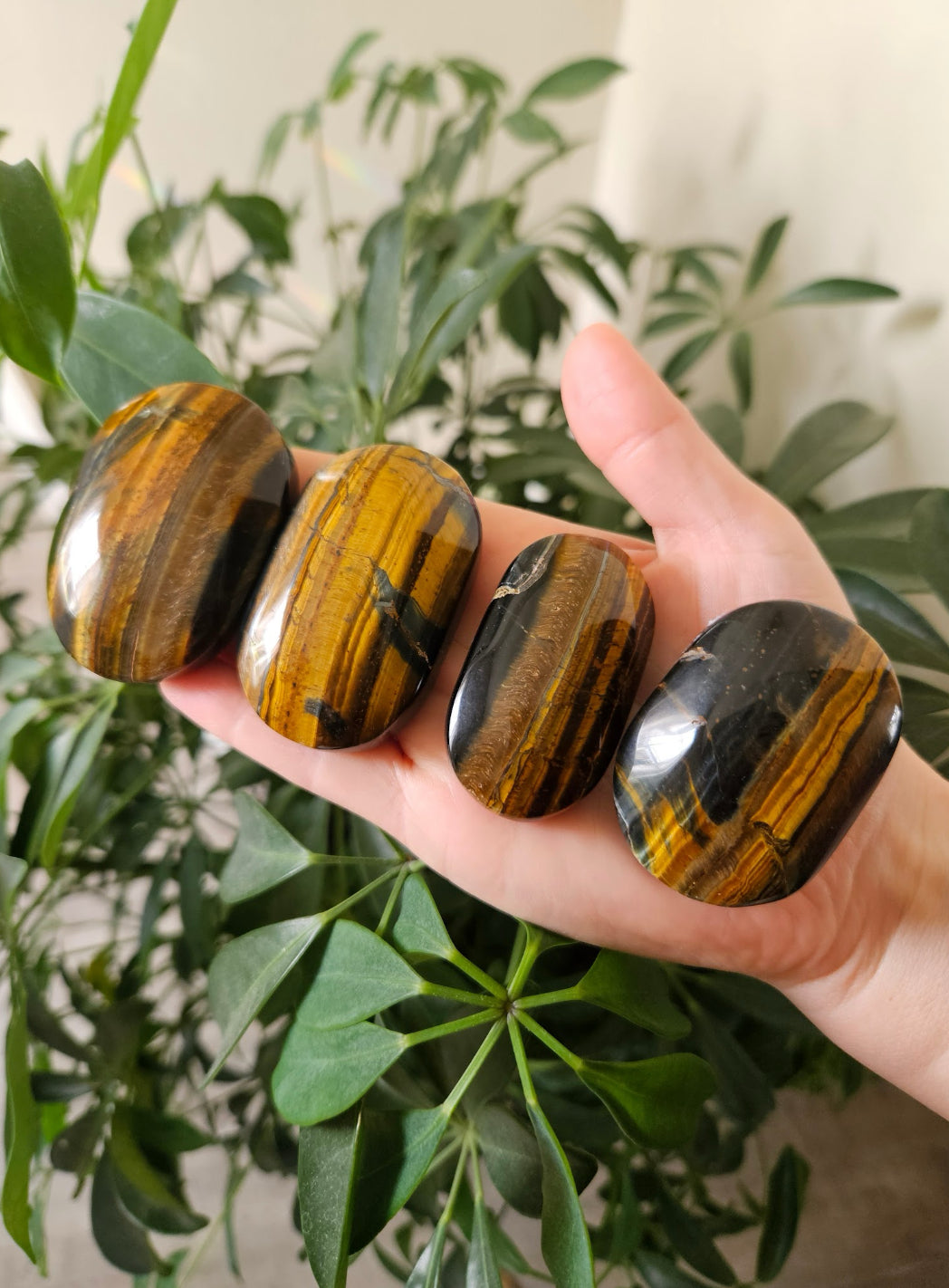 Tiger Eye Palmstone