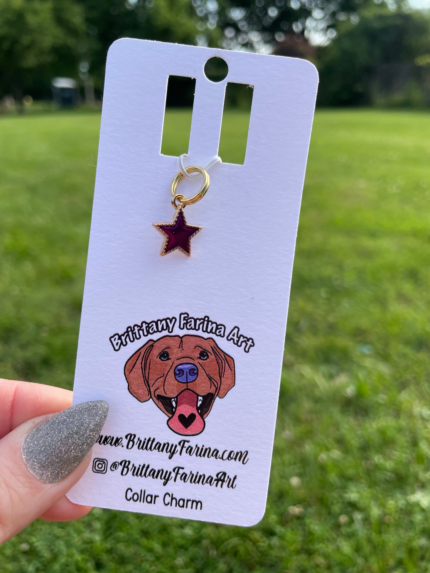 Collar Charms || Doggy Bling || Bag Accessories