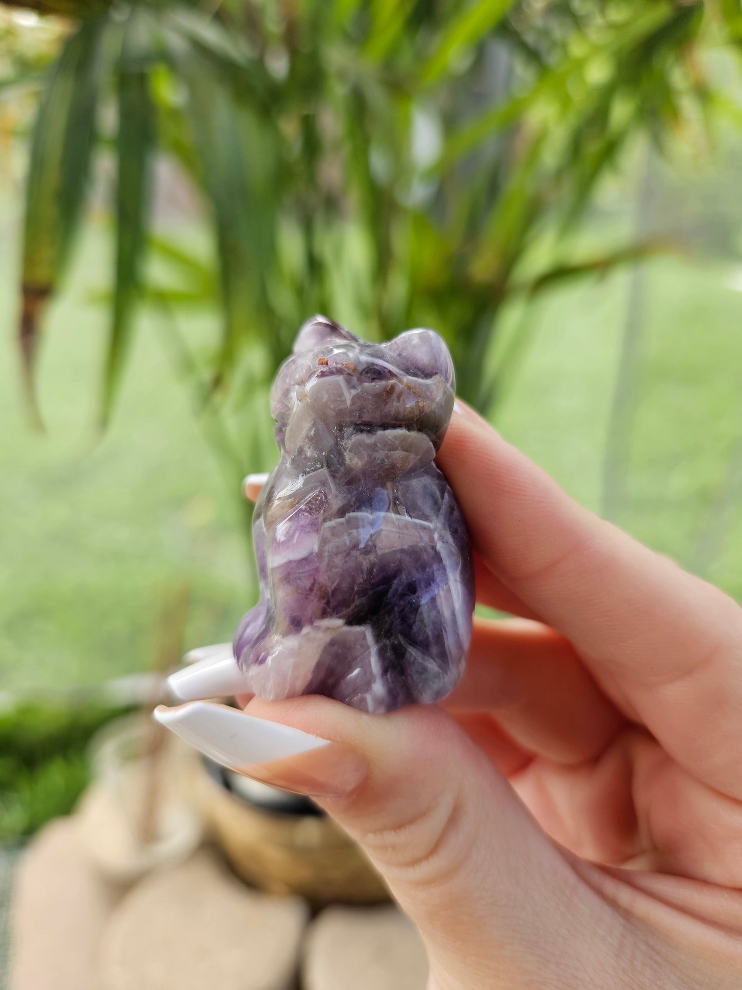 Amethyst Cat