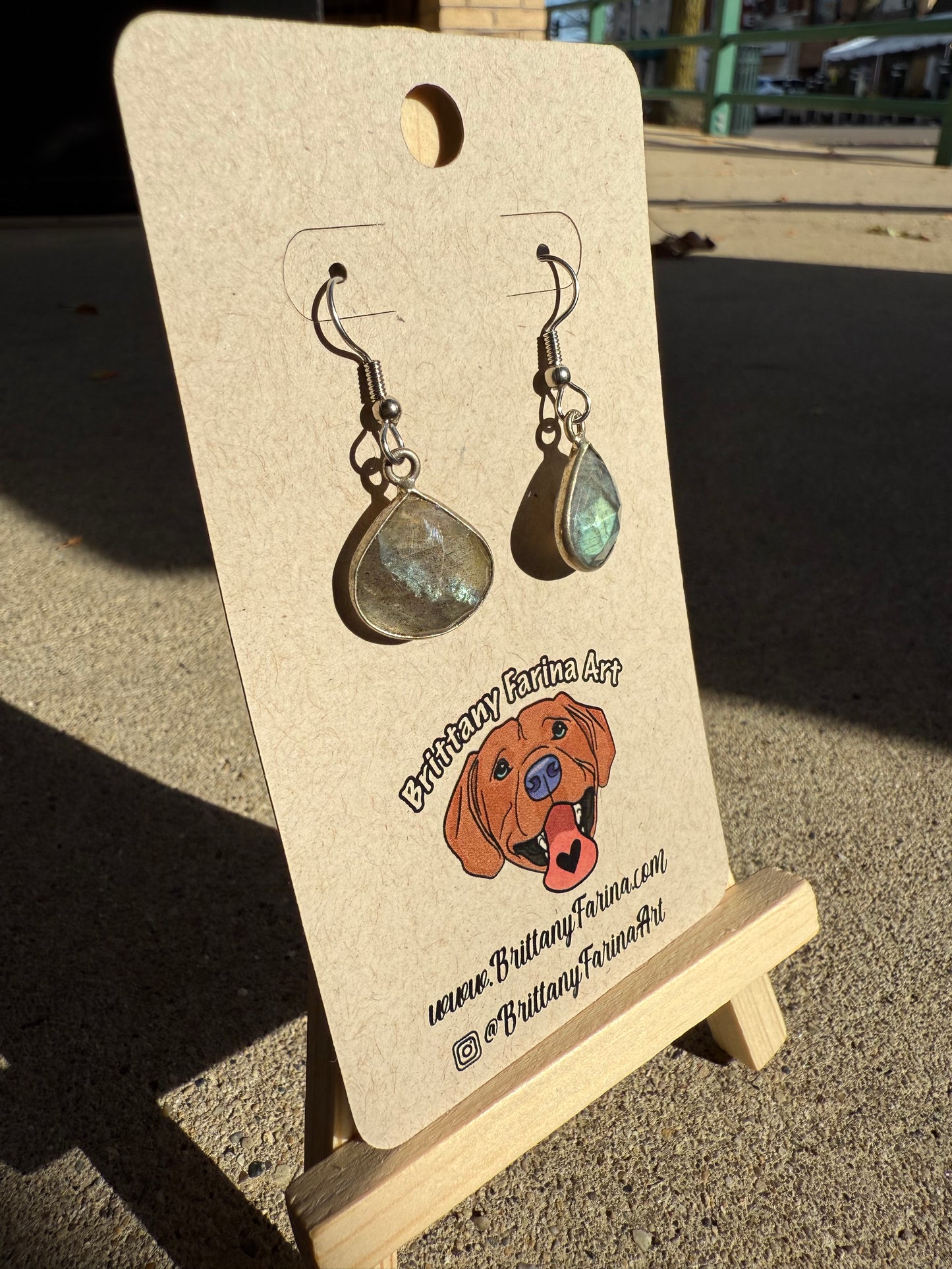 Labradorite Dangle Earrings
