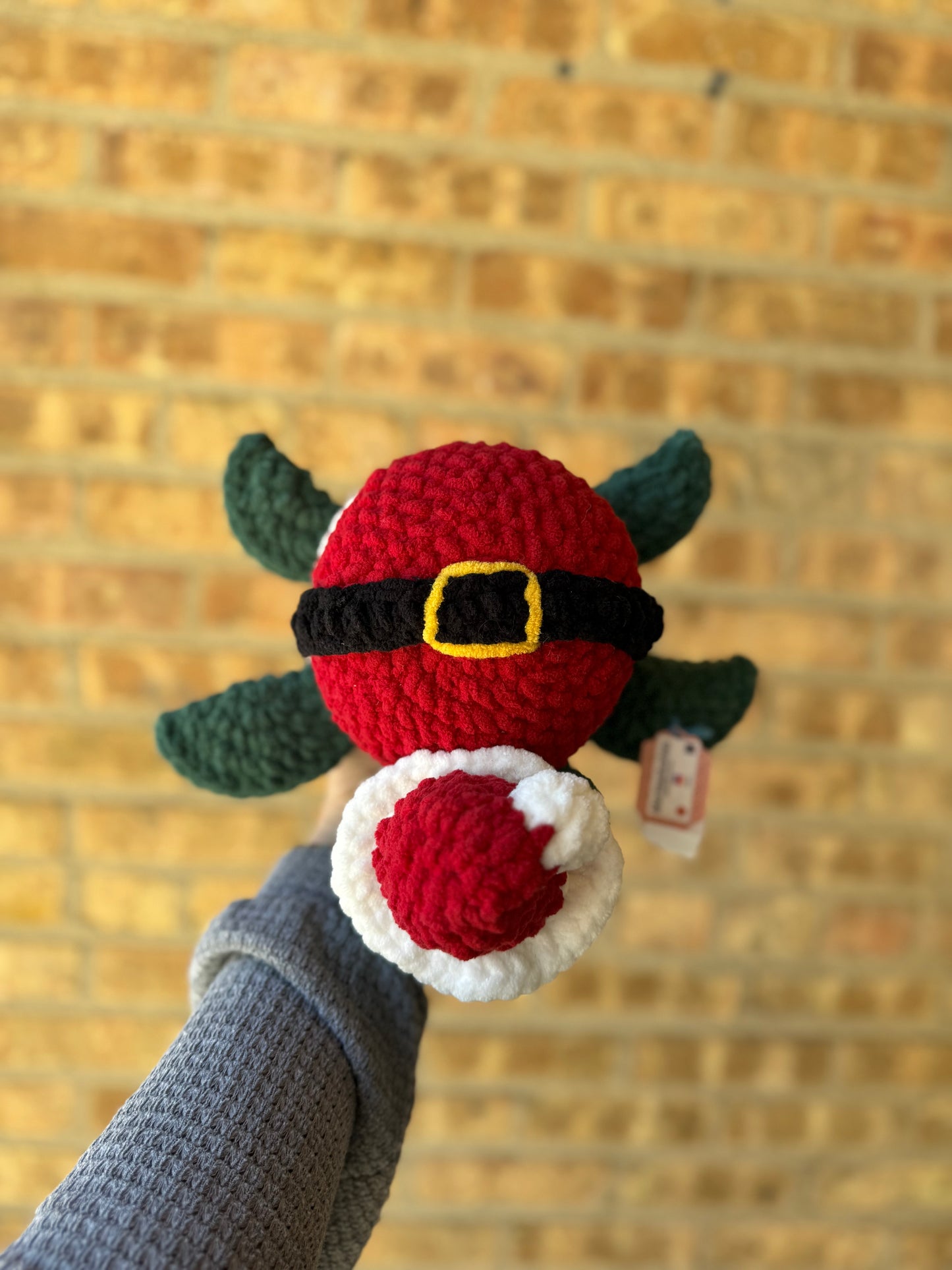 Crochet Plush SanTurtle