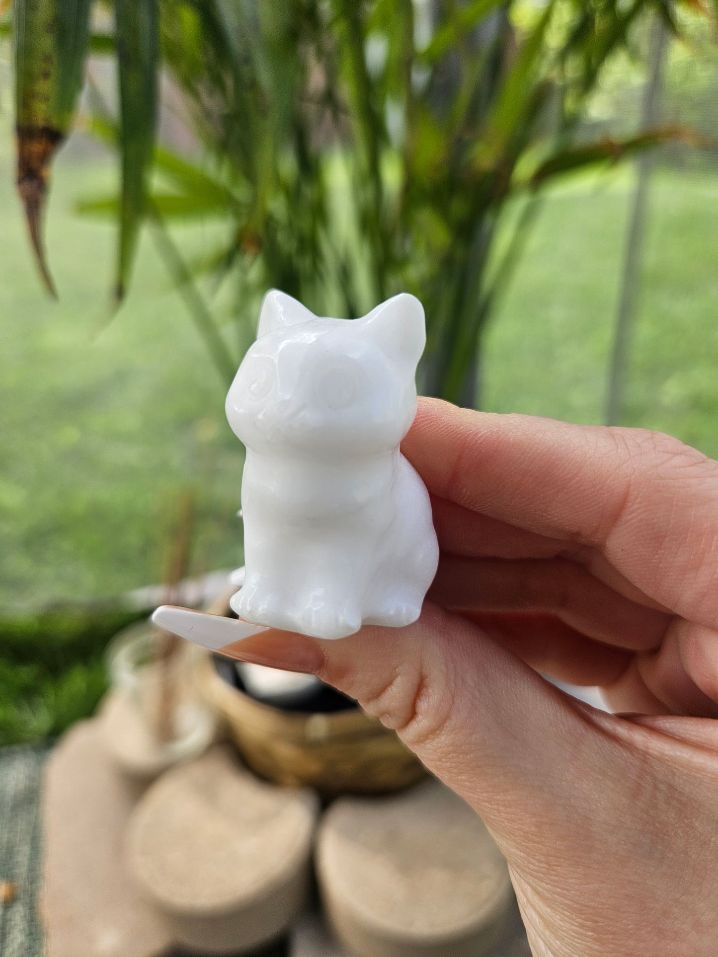 Calcite Cat