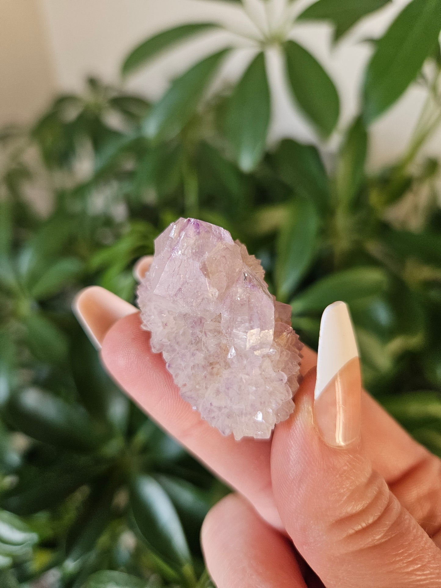 Fairy Quartz