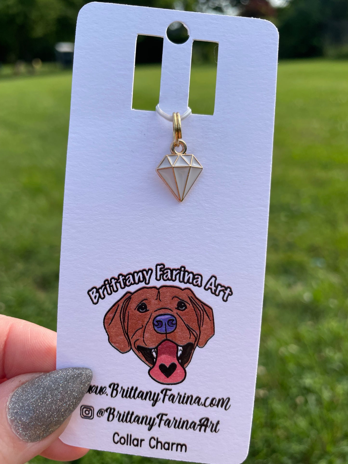 Collar Charms || Doggy Bling || Bag Accessories