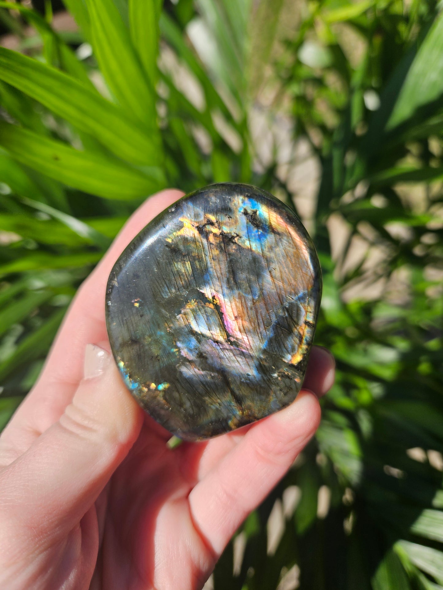 Labradorite Freeform