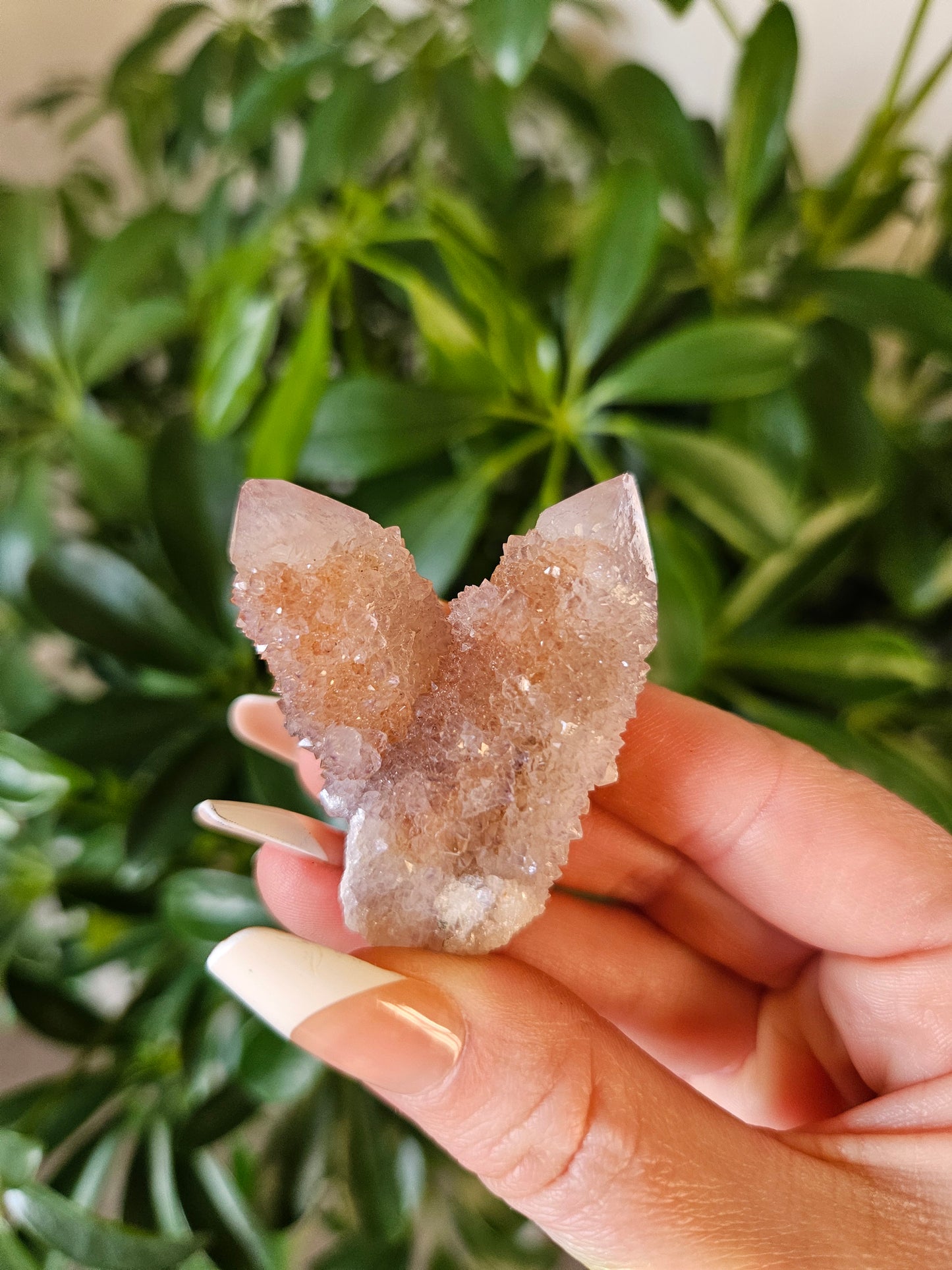 Fairy Quartz