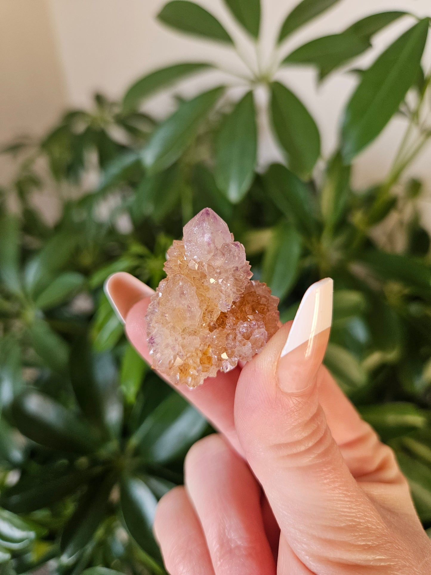 Fairy Quartz
