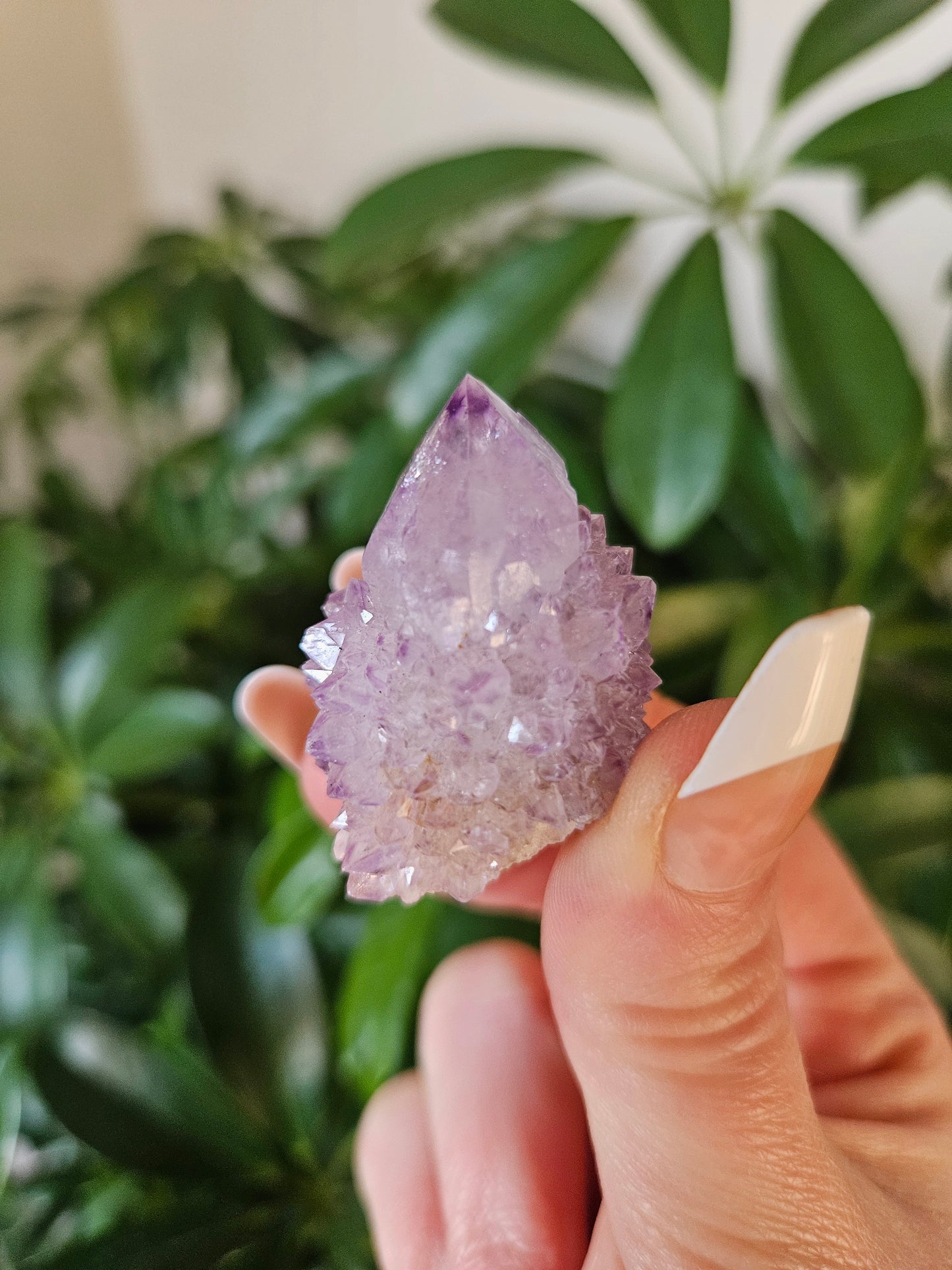 Fairy Quartz