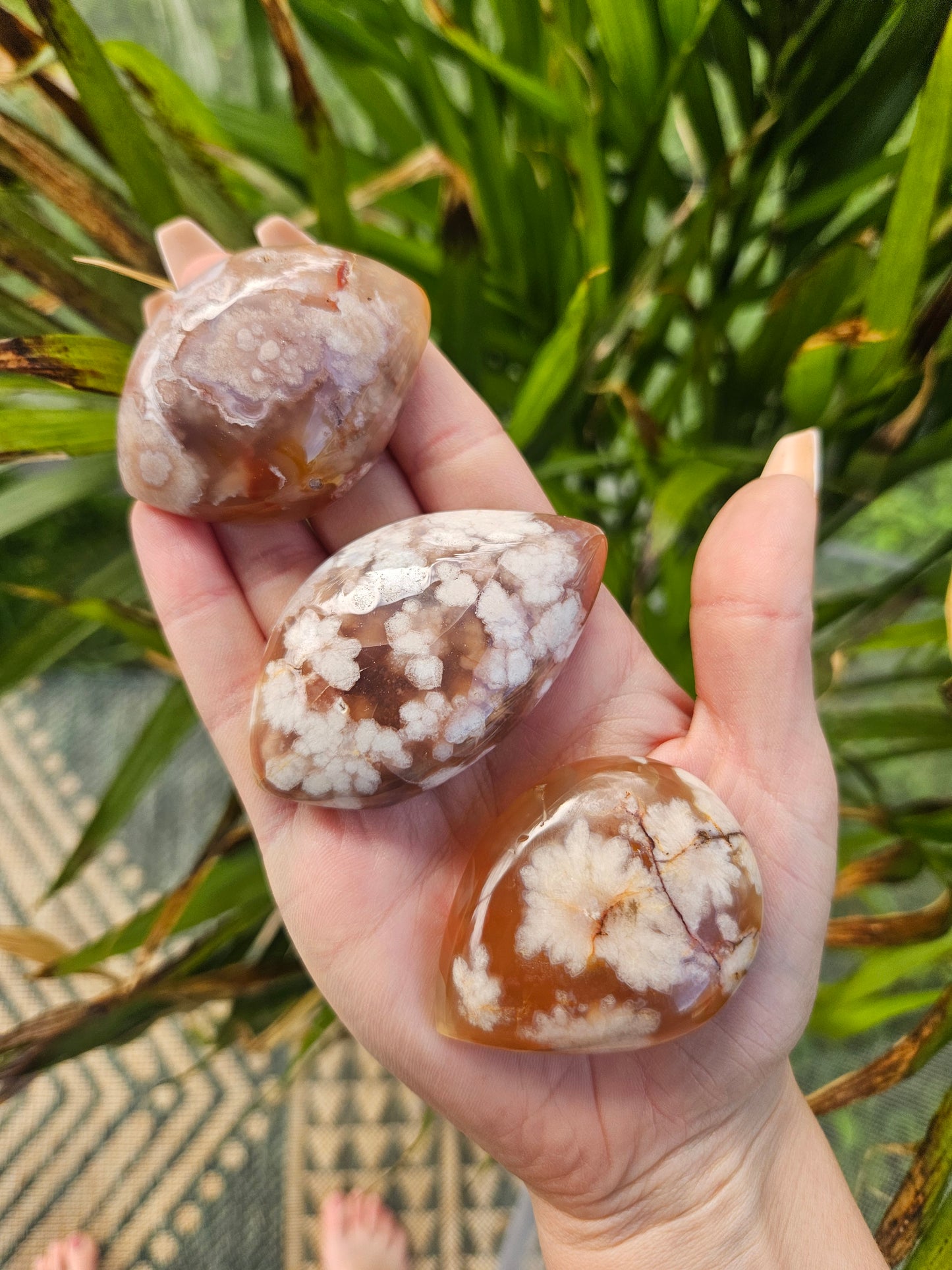Flower Agate Palmstones