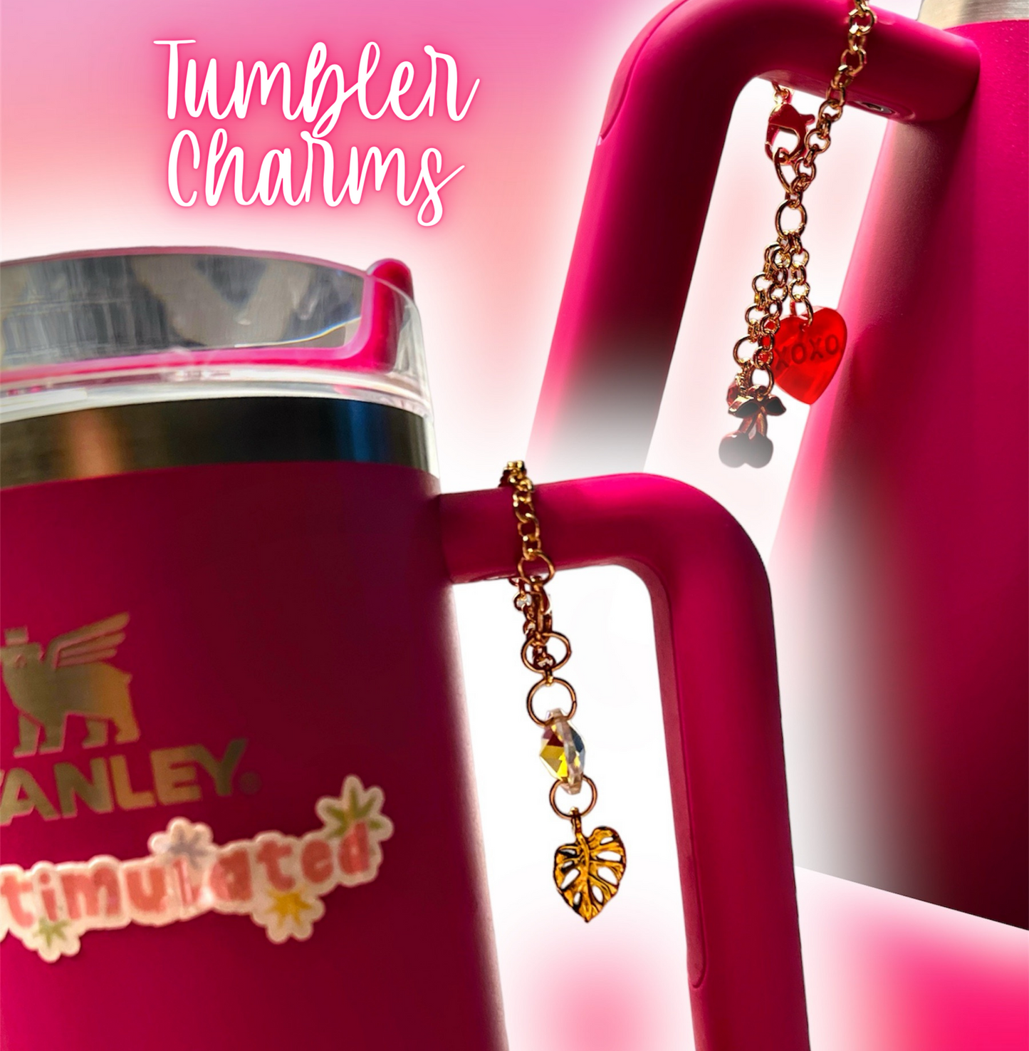 Tumbler Charms