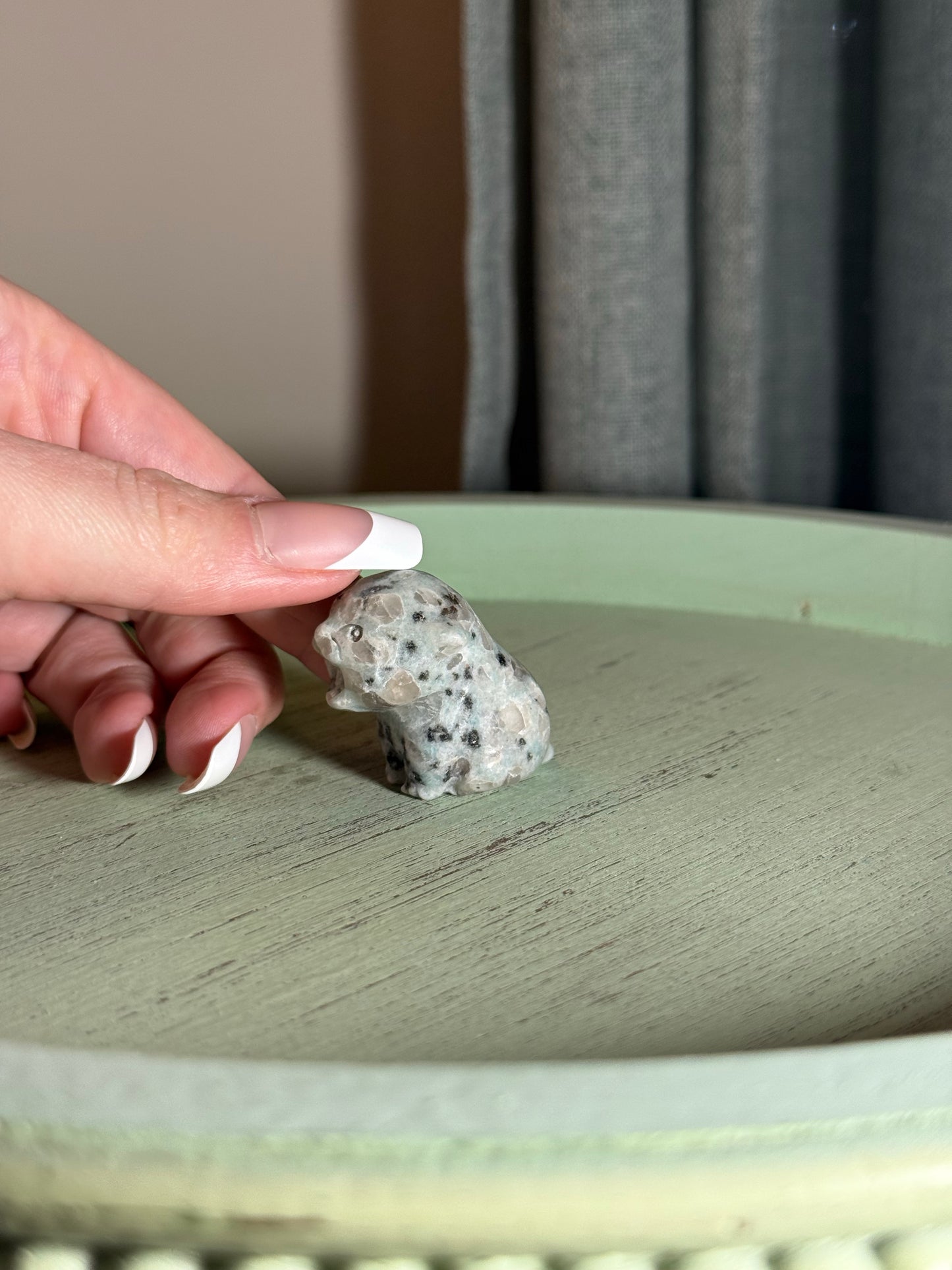 Kiwi Jasper Tiger Carving