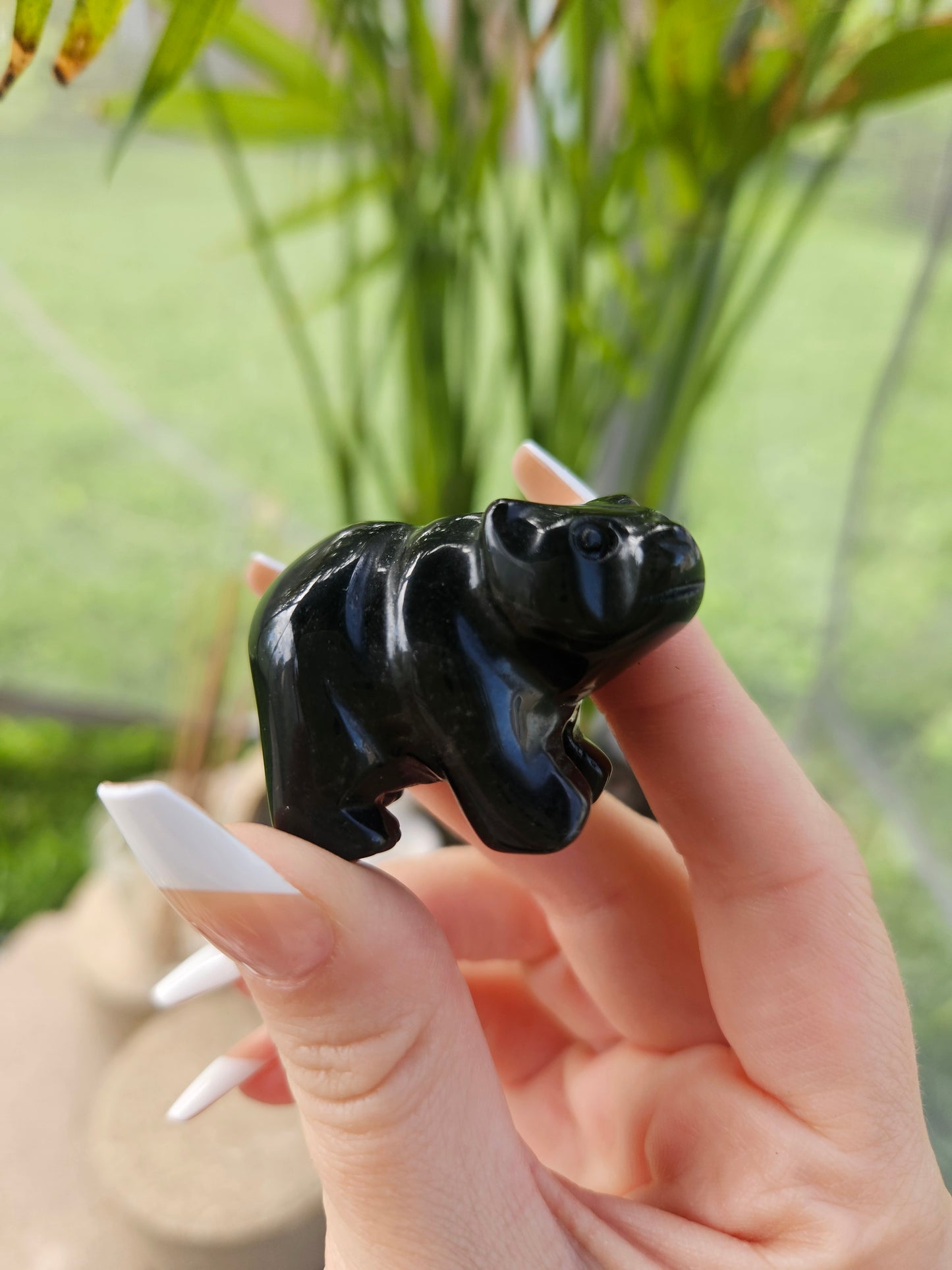Obsidian Bear