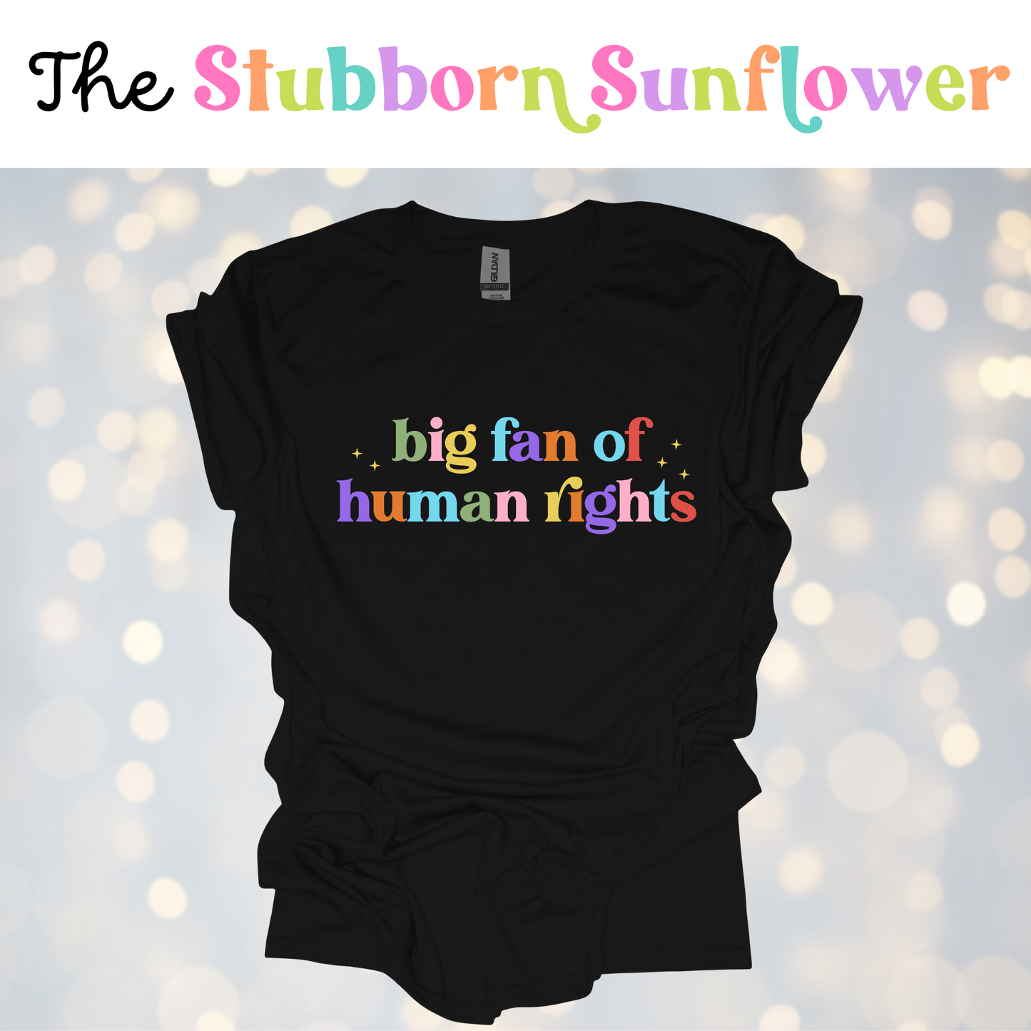 Big Fan of Human Rights T-Shirt
