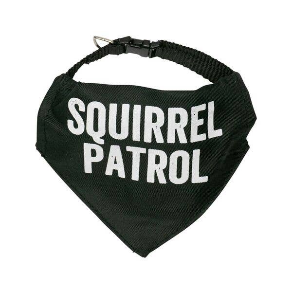 Squirrel Patrol Pet Bandana/Collar | Medium