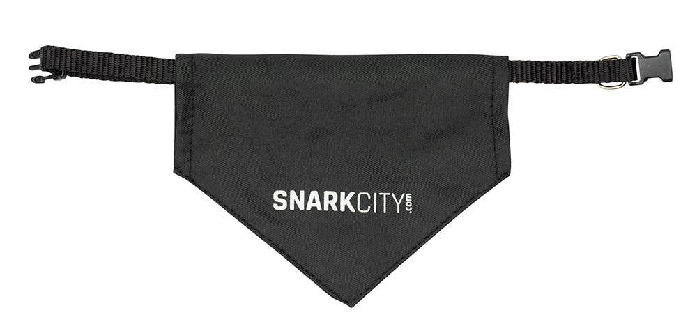 Squirrel Patrol Pet Bandana/Collar | Medium