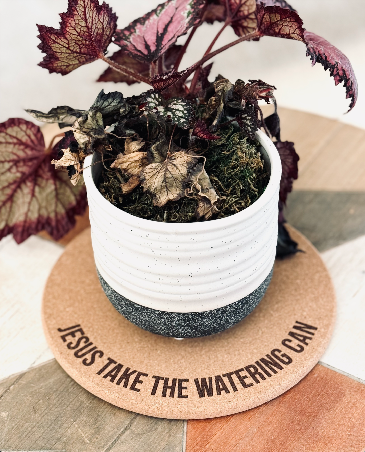 Jesus Take The Watering Can • Plant Mat • 4 Inch