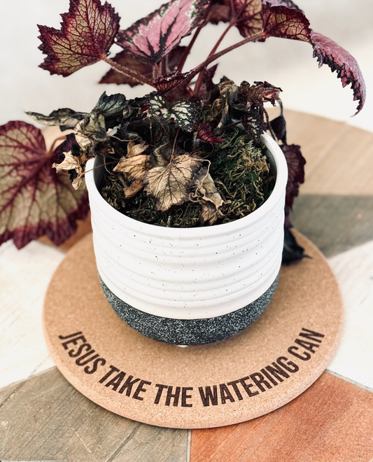 Jesus Take The Watering Can • Plant Mat • 4 Inch