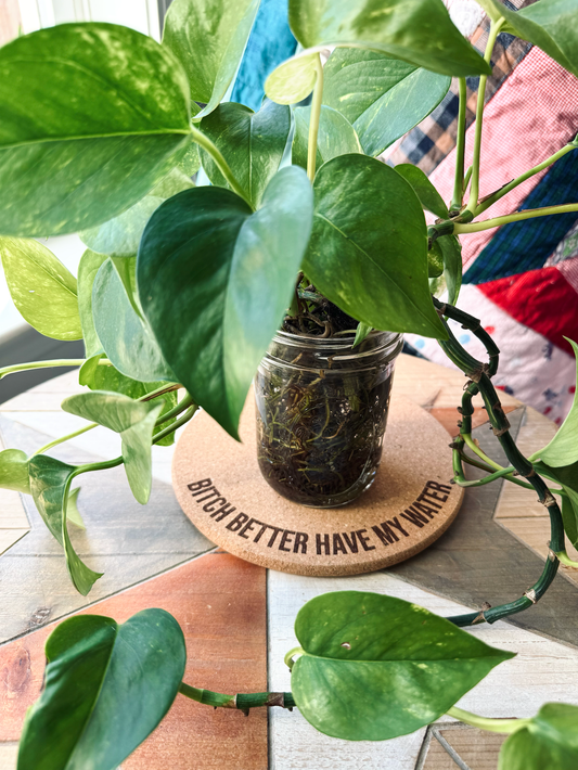 Bitch Better Have My Water • Plant Mat • 2 Size Options