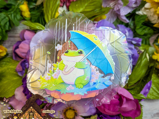 Frog Rain Suncatcher Window Cling, Rainbow Refracting Window Decal