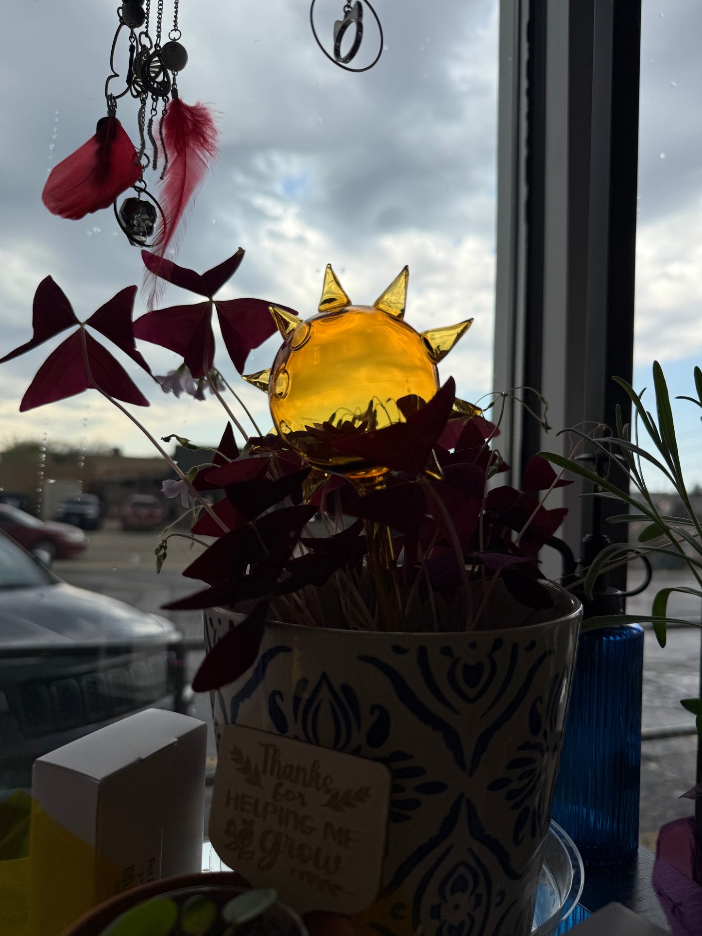 Sun Watering Globe