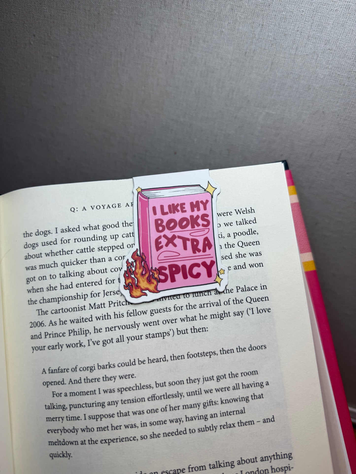 Magnetic Bookmarks