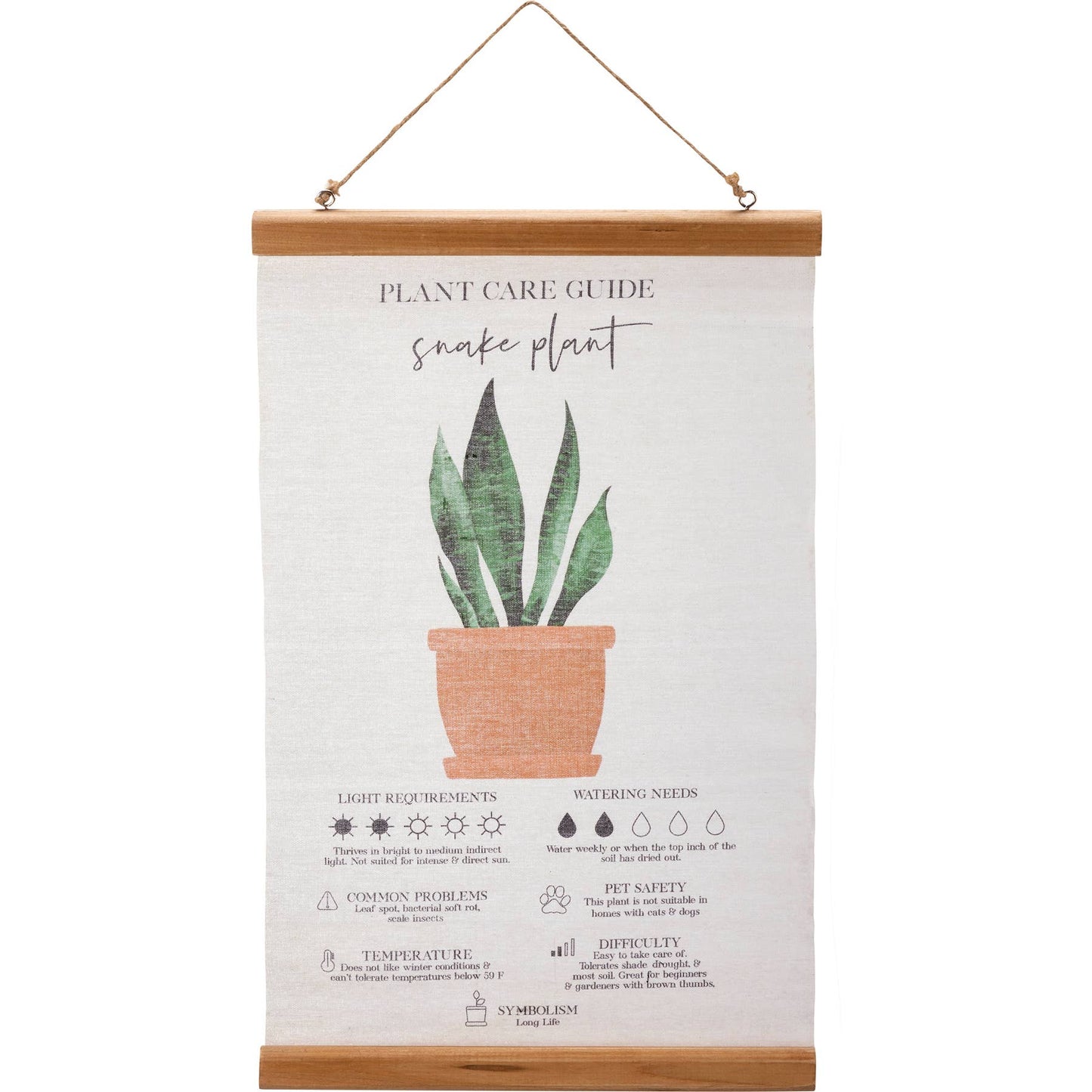 Snake Plant Guide Wall Decor