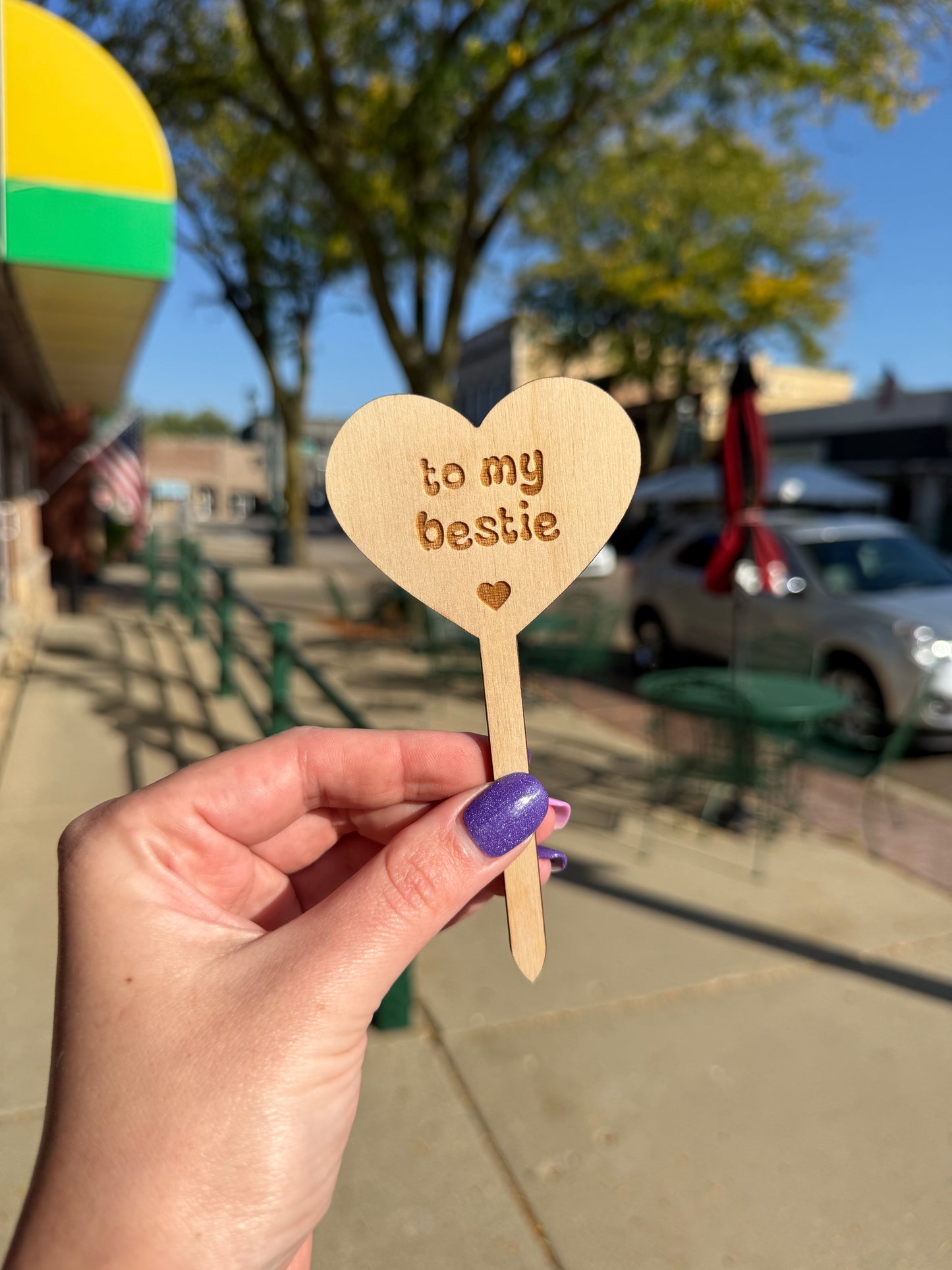 Celebration Wooden Plant Markers