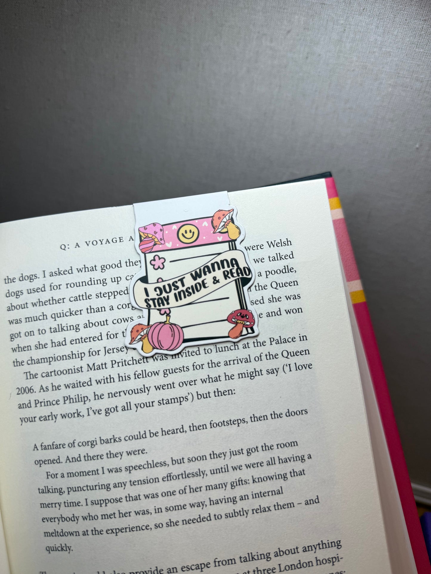 Magnetic Bookmarks