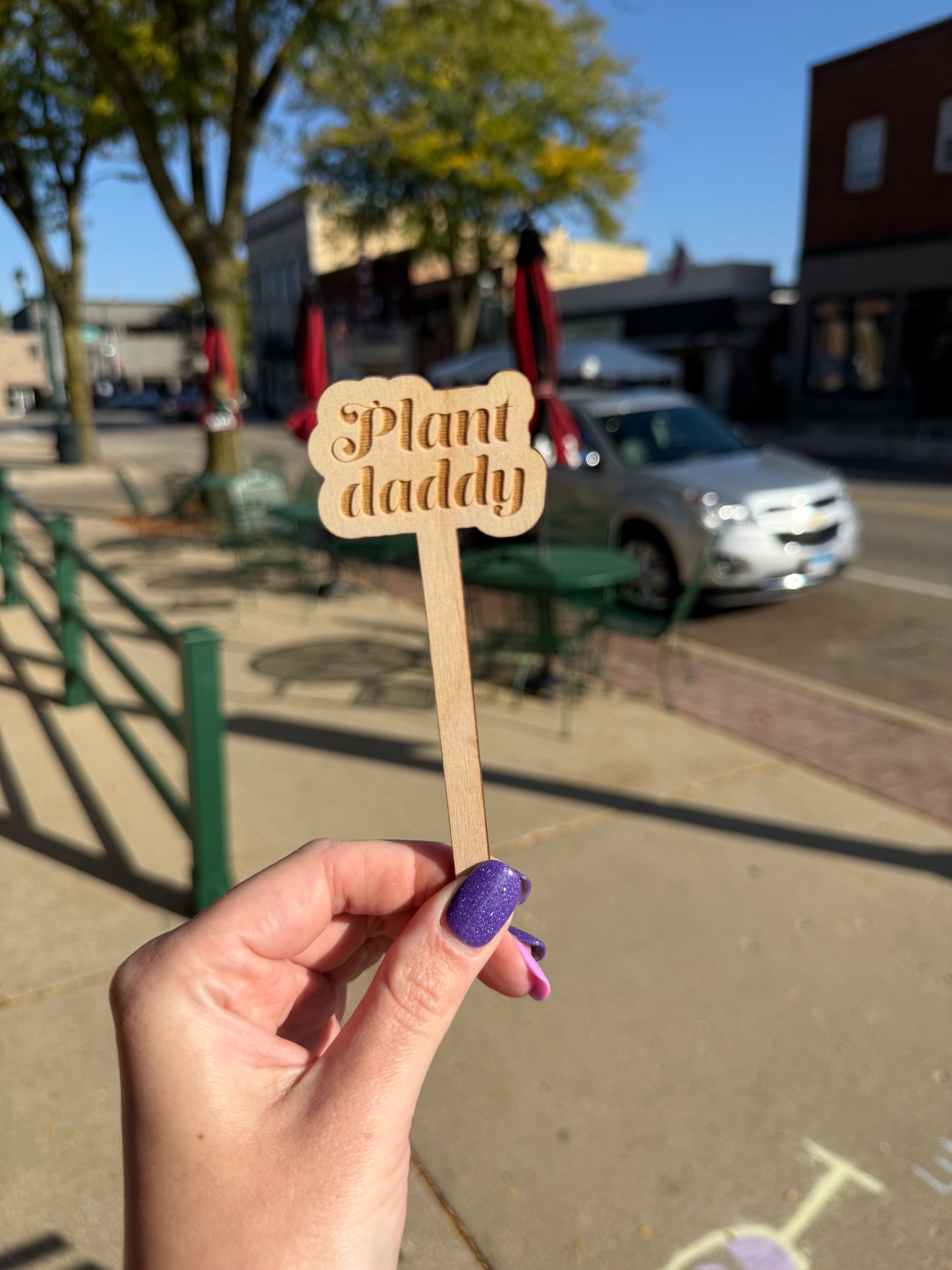 Funny Wooden Plant Markers