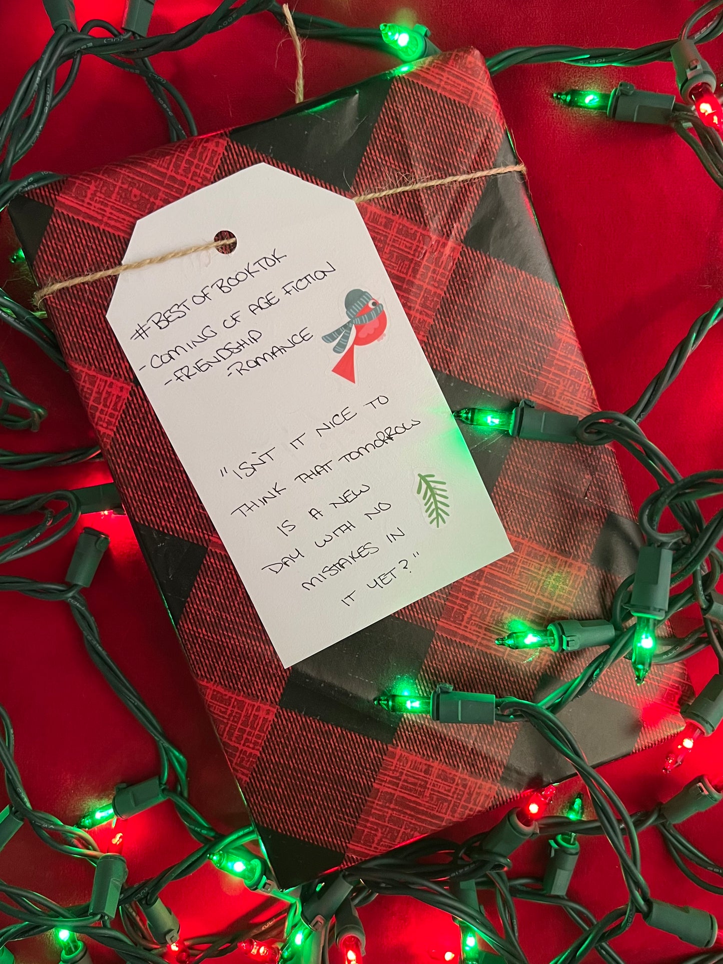 Holiday Blind Date with a Book | Adult & YA