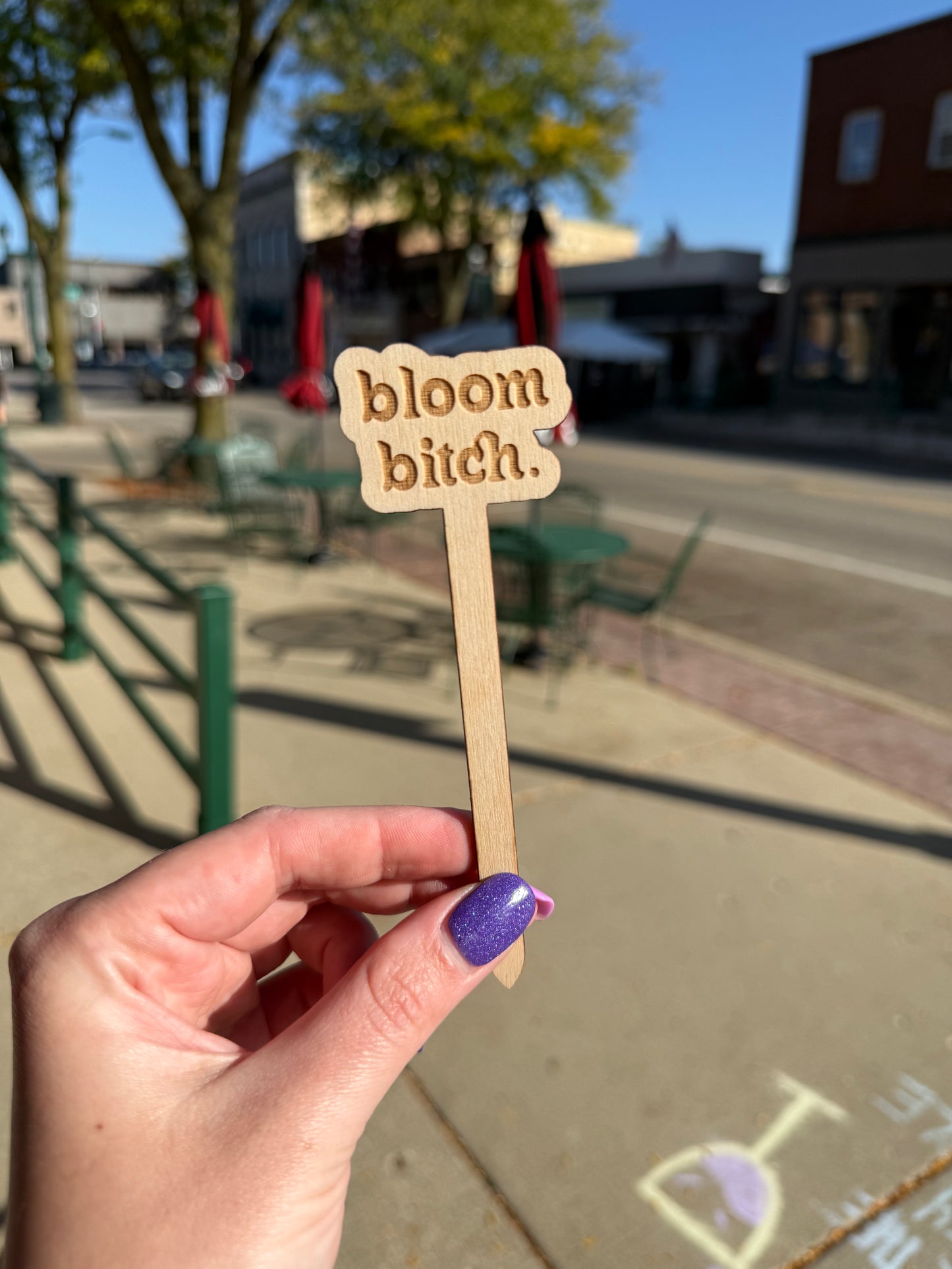 Funny Wooden Plant Markers