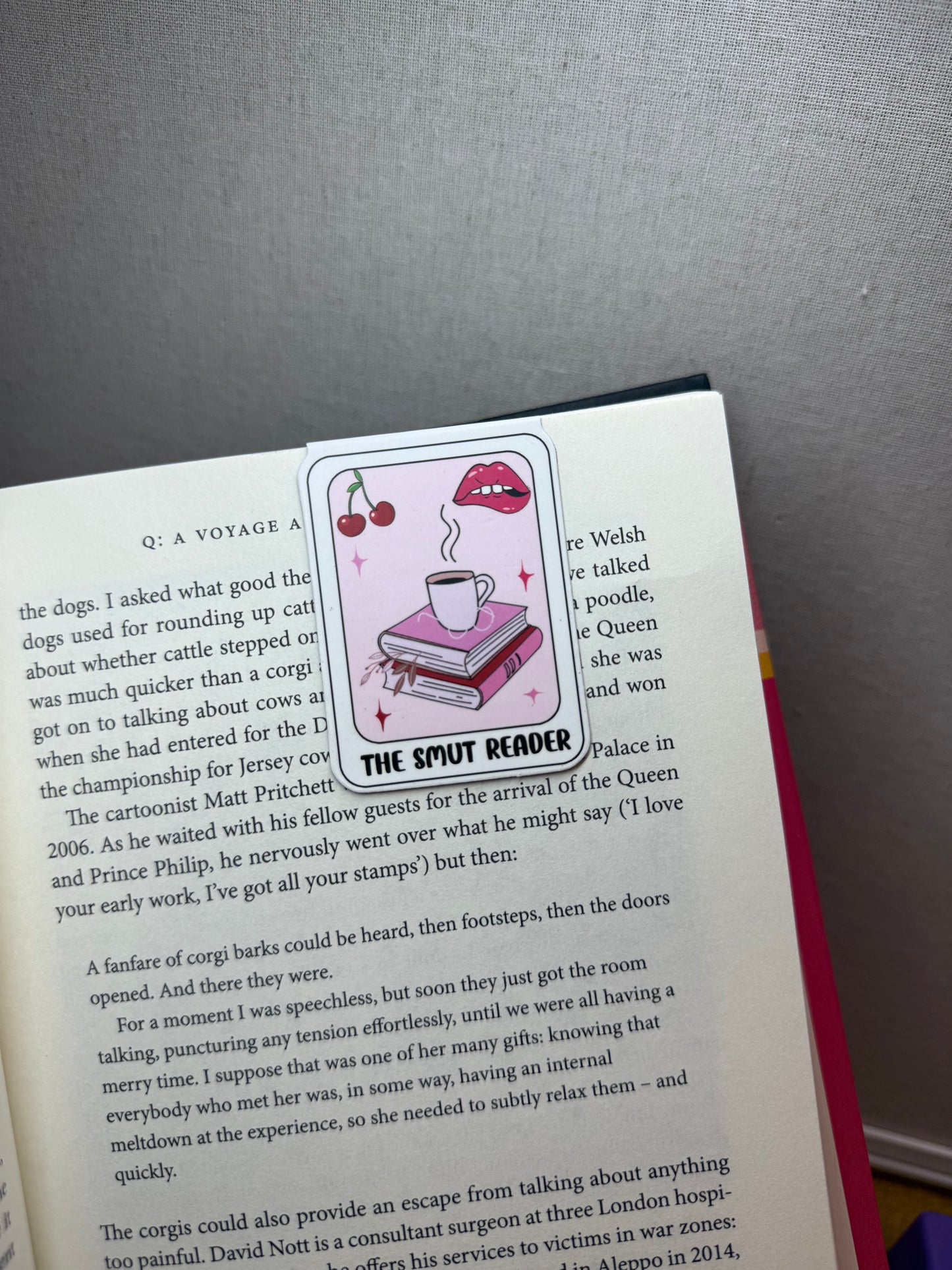 Magnetic Bookmarks