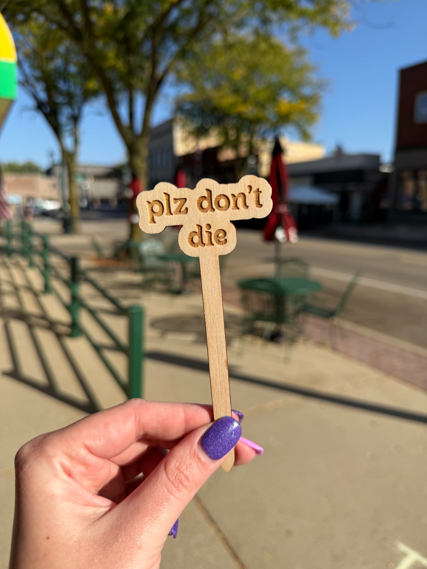 Funny Wooden Plant Markers