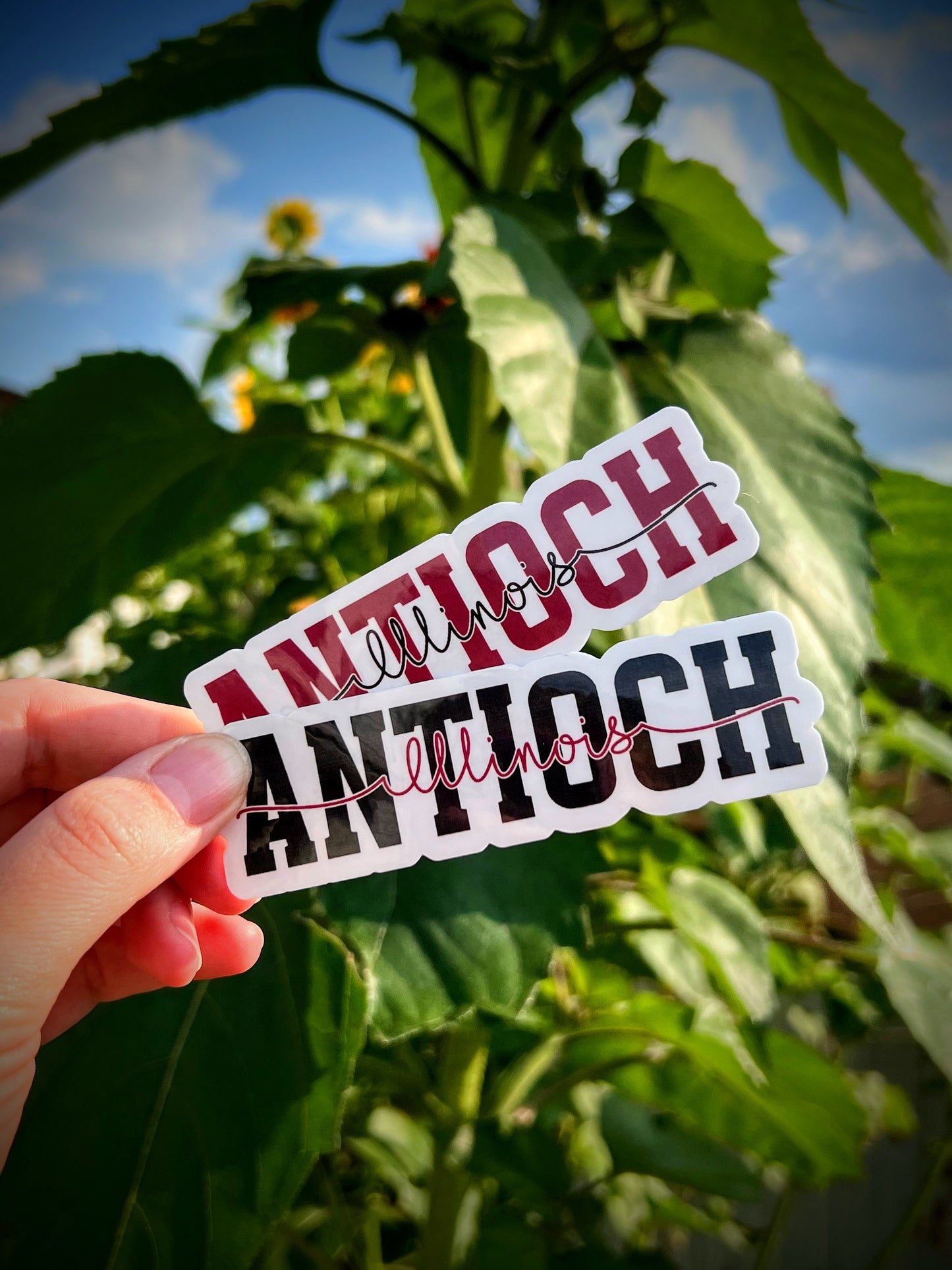 Antioch IL Sticker - 2 Colors